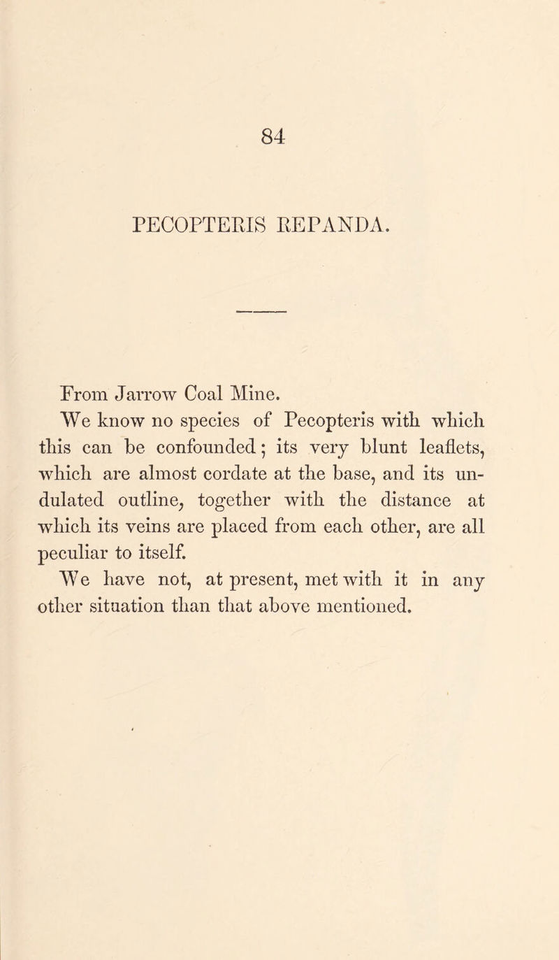 84 PECOPTERIS EEPANDA. From Jarrow Coal Mine. We know no species of Pecopteris with wliich this can be confounded; its very blunt leaflets, which are almost cordate at the base, and its un¬ dulated outline, together with the distance at which its veins are placed from each other, are all peculiar to itself. We have not, at present, met with it in any other situation than that above mentioned.