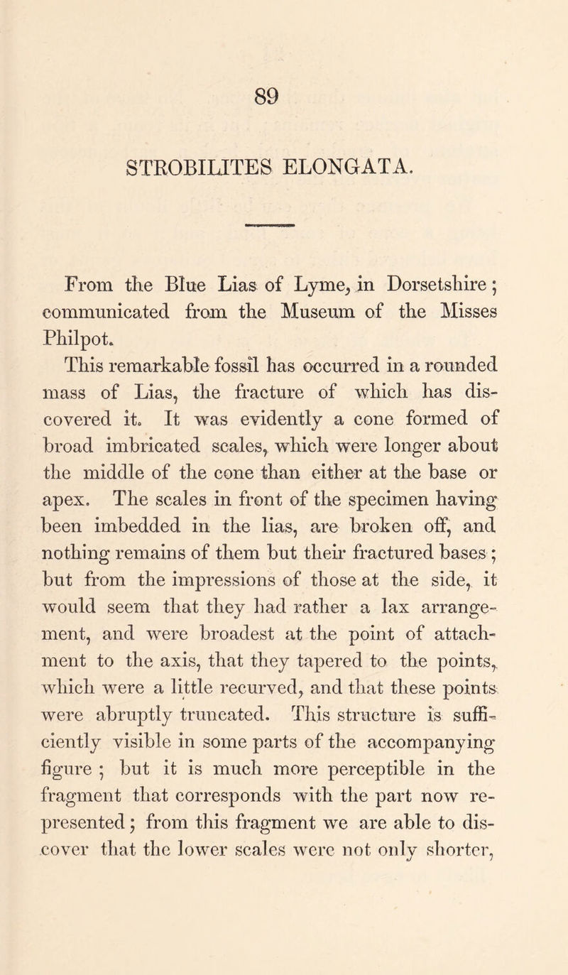 89 STROBIXJTES ELONGATA. From the Blue Lias of Lyme, in Dorsetshire; communicated from the Museum of the Misses Philpot. This remarkable fossil has occurred in a rounded mass of Lias, the fracture of which has dis¬ covered it. It was evidently a cone formed of broad imbricated scales, which were longer about the middle of the cone than either at the base or apex. The scales in front of the specimen having been imbedded in the lias, are broken off, and nothing remains of them but their fractured bases ; but from the impressions of those at the side, it would seem that they had rather a lax arrange¬ ment, and were broadest at the point of attach¬ ment to the axis, that they tapered to the points,, which were a little recurved, and that these points were abruptly truncated. This structure is suffi¬ ciently visible in some parts of the accompanying figure • but it is much more perceptible in the fragment that corresponds with the part now re¬ presented ; from this fragment we are able to dis¬ cover that the lower scales were not only shorter,