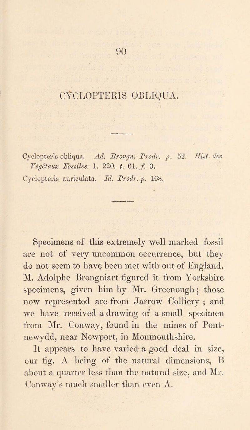 CtCLOPTEEIS OBLIQUA. Cyclopteris obliqua. Ad. Brongn. Prodr. p. 52. But. des Vegetaux Fossiles. 1. 220. t. 61. f. 3. Cyclopteris auriculata. Id. Prodr. p. 168. Specimens of this extremely well marked fossil are not of very uncommon occurrence, but they do not seem to have been met with out of England, M. Adolphe Brongniart figured it from Yorkshire specimens, given him by Mr. Greenough • those now represented are from Jarrow Colliery ; and we have received a drawing of a small specimen from Mr. Conway, found in the mines of Pont- newydd, near Newport, in Monmouthshire. It appears to have varied a good deal in size, our fig. A being of the natural dimensions, B about a quarter less than the natural size, and Mr. Conway’s much smaller than even A.