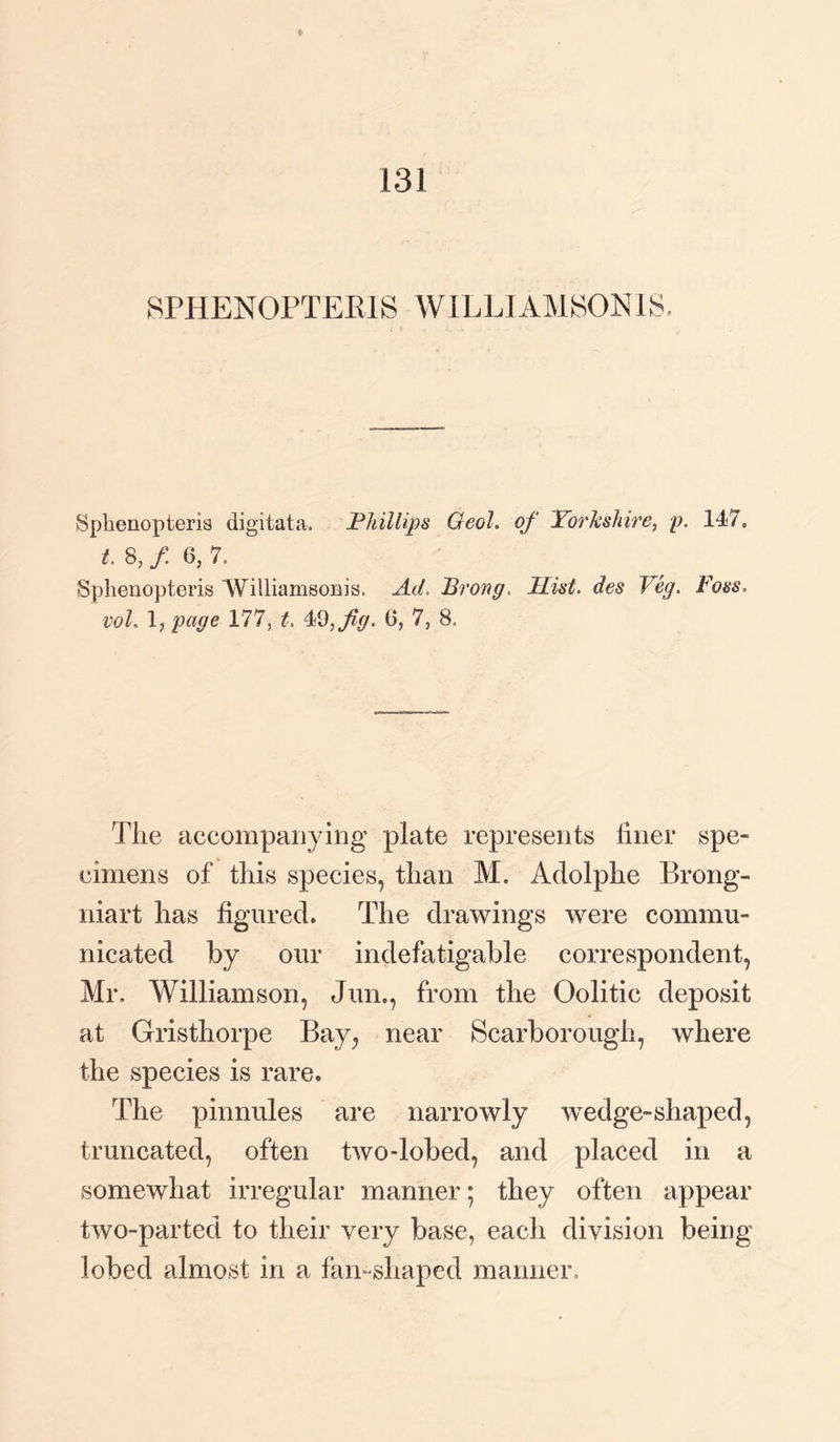 131 SPHEN0PTER1S WILLIAMSON IS- Sphenopteris digitata. Phillips Geol. of Yorkshire, p. 117. t. 8, / 6, 7, Sphenopteris 'WilliamsoBis. Ad. Prong. Hist, des Veg. Foss. 1 f page 177, Yd, fig. 6, 7, 8, The accompanying plate represents finer spe¬ cimens of this species, than M. Adolphe Brong- niart has figured. The drawings were commu¬ nicated by our indefatigable correspondent, Mr. Williamson, Jun., from the Oolitic deposit at Gristhorpe Bay, near Scarborough, where the species is rare. The pinnules are narrowly wedge-shaped, truncated, often two-lobed, and placed in a somewhat irregular manner; they often appear two-parted to their very base, each division being lobed almost in a fan-shaped manner.