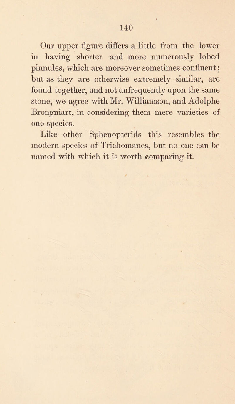 140 Our upper figure differs a little from the lower in having shorter and more numerously lobed pinnules, which are moreover sometimes confluent; but as they are otherwise extremely similar, are found together, and not unfrequently upon the same stone, we agree with Mr. Williamson, and Adolphe Brongniart, in considering them mere varieties of one species. Like other Sphenopterids this resembles the modern species of Trichomanes, but no one can be named with which it is worth comparing it.