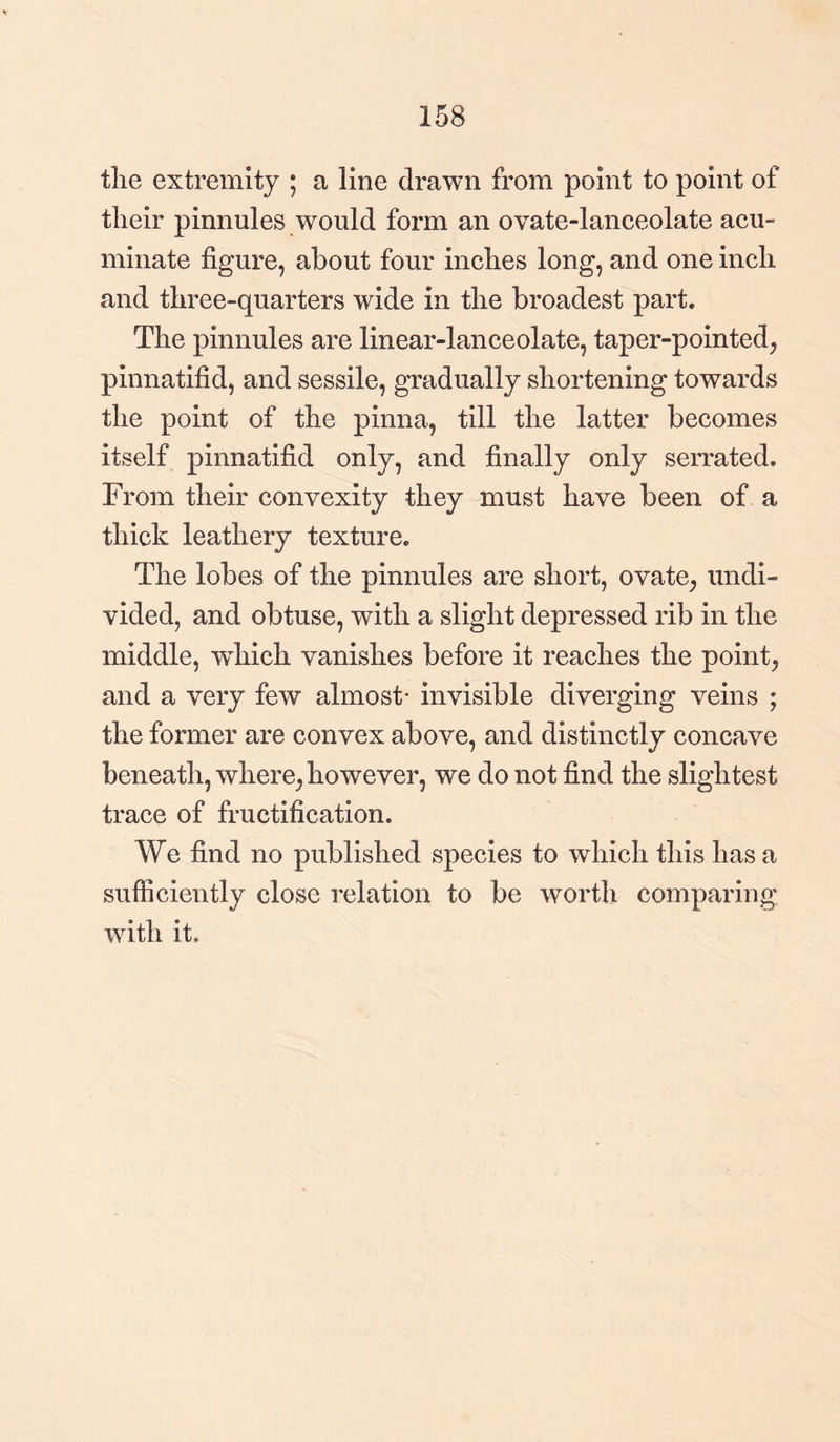 158 tlie extremity ; a line drawn from point to point of their pinnules would form an ovate-lanceolate acu¬ minate figure, about four inches long, and one inch and three-quarters wide in the broadest part. The pinnules are linear-lanceolate, taper-pointed, pinnatifid, and sessile, gradually shortening towards the point of the pinna, till the latter becomes itself pinnatifid only, and finally only serrated. From their convexity they must have been of a thick leathery texture. The lobes of the pinnules are short, ovate, undi¬ vided, and obtuse, with a slight depressed rib in the middle, which vanishes before it reaches the point, and a very few almost* invisible diverging veins ; the former are convex above, and distinctly concave beneath, where, however, we do not find the slightest trace of fructification. We find no published species to which this has a sufficiently close relation to be worth comparing with it.