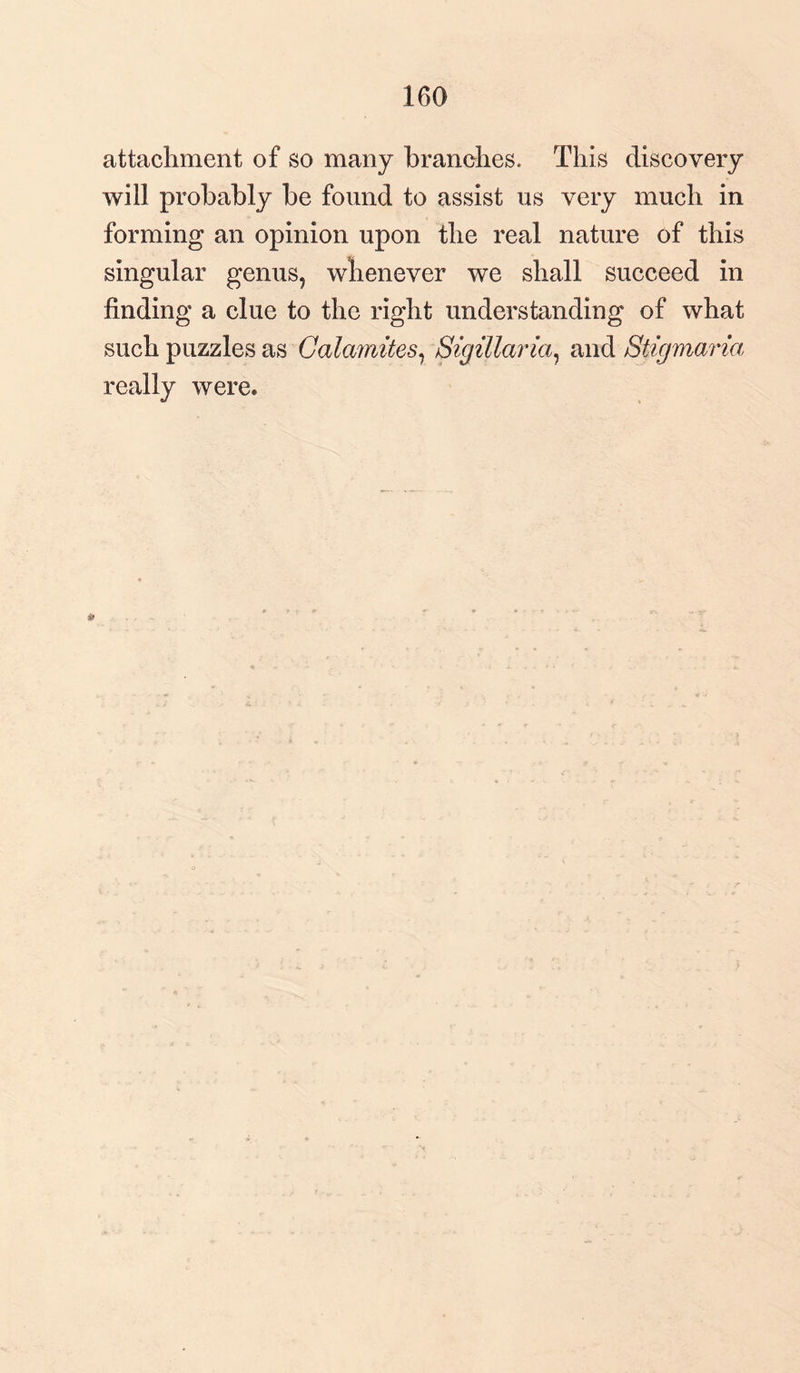 160 attachment of so many branches. This discovery will probably be found to assist us very much in forming an opinion upon the real nature of this singular genus, whenever we shall succeed in finding a clue to the right understanding of what such puzzles as Catamites, Sigillaria, and Stigmaria really were.
