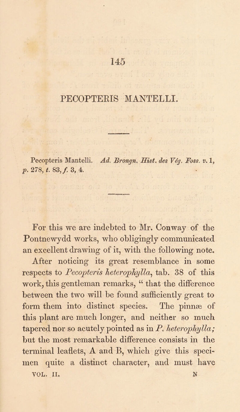 145 PECOPTERIS MANTELLI. Pecopteris Mantelli. Ad. Brongn. Hist, des V6g. Foss. v. 1, p. 278, t. 83,/ 3, 4 For this we are indebted to Mr. Conway of the Fontnewydd works, who obligingly communicated an excellent drawing of it, with the following note. After noticing its great resemblance in some respects to Pecopteris Tieterophylla, tab. 38 of this work, this gentleman remarks, u that the difference between the two will be found sufficiently great to form them into distinct species. The pinnae of this plant are much longer, and neither so much tapered nor so acutely pointed as in P. heterophylla; but the most remarkable difference consists in the terminal leaflets, A and B, which give this specb men quite a distinct character, and must have VOL. II. N