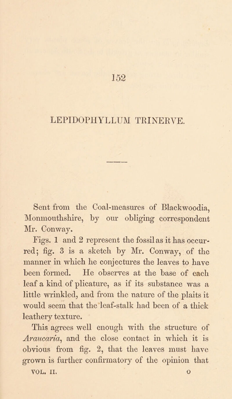 152 LEPIDOPHYLLUM TRINERVE. Sent from tlie Coal-measures of Blackwoodia, Monmouthshire, by our obliging correspondent Mr. Conway. Figs. 1 and 2 represent the fossil as it has occur¬ red; fig. 3 is a sketch by Mr. Conway, of the manner in which he conjectures the leaves to have been formed. He observes at the base of each leaf a kind of plicature, as if its substance was a little wrinkled, and from the nature of the plaits it would seem that the leaf-stalk had been of a thick leathery texture. This agrees well enough with the structure of Araucaria, and the close contact in which it is obvious from fig. 2, that the leaves must have grown is further confirmatory of the opinion that