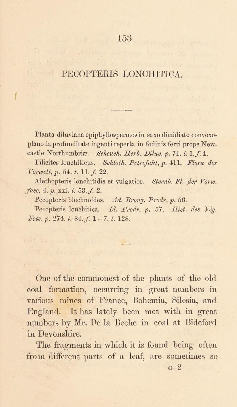 153 PECOPTERIS LONOHITICA. Planta diluviana epiphyllospermos in saxo dimidiato convexo- plano in profunditate ingenti reperta in fodinis ferri prope New¬ castle Northumbrise. Scheuch. Herb. Diluv. p. 74. t. 1 ./ 4. Filicites loncbiticus. Schloth. Fetrefalct, p. 411. Flora der Vorwelt, p. 54. t. 11. f. 22. Alethopteris lonchitidis efc vulgatior. Sternb. FI. der Vorw. fasc. 4. p. xxi. t. 53./. 2. Pecopteris blechnoides. Ad. Frong. Frodr. p. 50. Pecopteris lonchitica. Id. Frodr. p. 57. Fist, des Veg, Foss. p. 274. t. 84./ 1—7. t, 128. One of the commonest of the plants of the old coal formation, occurring in great numbers in various mines of France, Bohemia, Silesia, and England. It has lately been met with in great numbers by Mr. De la Beche in coal at Bideford in Devonshire. The fragments in which it is found being often from different parts of a leaf, are sometimes so o 2