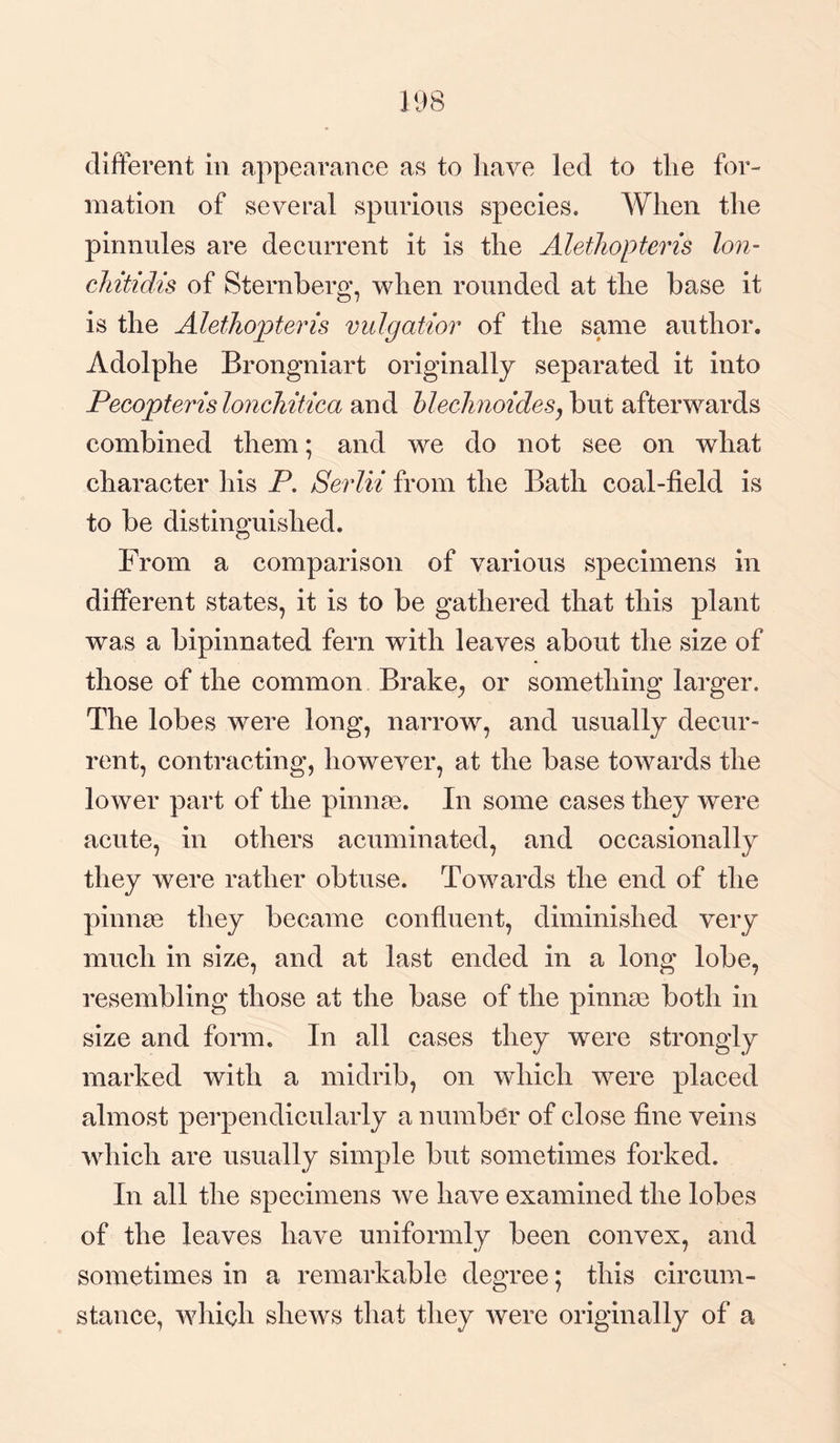 198 different in appearance as to have led to the for¬ mation of several spurious species. When the pinnules are decurrent it is the Alethopteris lon- cJiitidis of Sternberg, when rounded at the base it is the Alethopteris vulgatior of the same author. Adolphe Brongniart originally separated it into Pecopterislonchitica and blechnoides, but afterwards combined them; and we do not see on what character his P. Serlii from the Bath coal-field is to be distinguished. From a comparison of various specimens in different states, it is to be gathered that this plant was a bipinnated fern with leaves about the size of those of the common Brake, or something larger. The lobes were long, narrow, and usually decur¬ rent, contracting, however, at the base towards the lower part of the pinnae. In some cases they were acute, in others acuminated, and occasionally they were rather obtuse. Towards the end of the pinnae they became confluent, diminished very much in size, and at last ended in a long lobe, resembling those at the base of the pinnae both in size and form. In all cases they were strongly marked with a midrib, on which were placed almost perpendicularly a number of close fine veins which are usually simple but sometimes forked. In all the specimens we have examined the lobes of the leaves have uniformly been convex, and sometimes in a remarkable degree; this circum¬ stance, which shews that they were originally of a