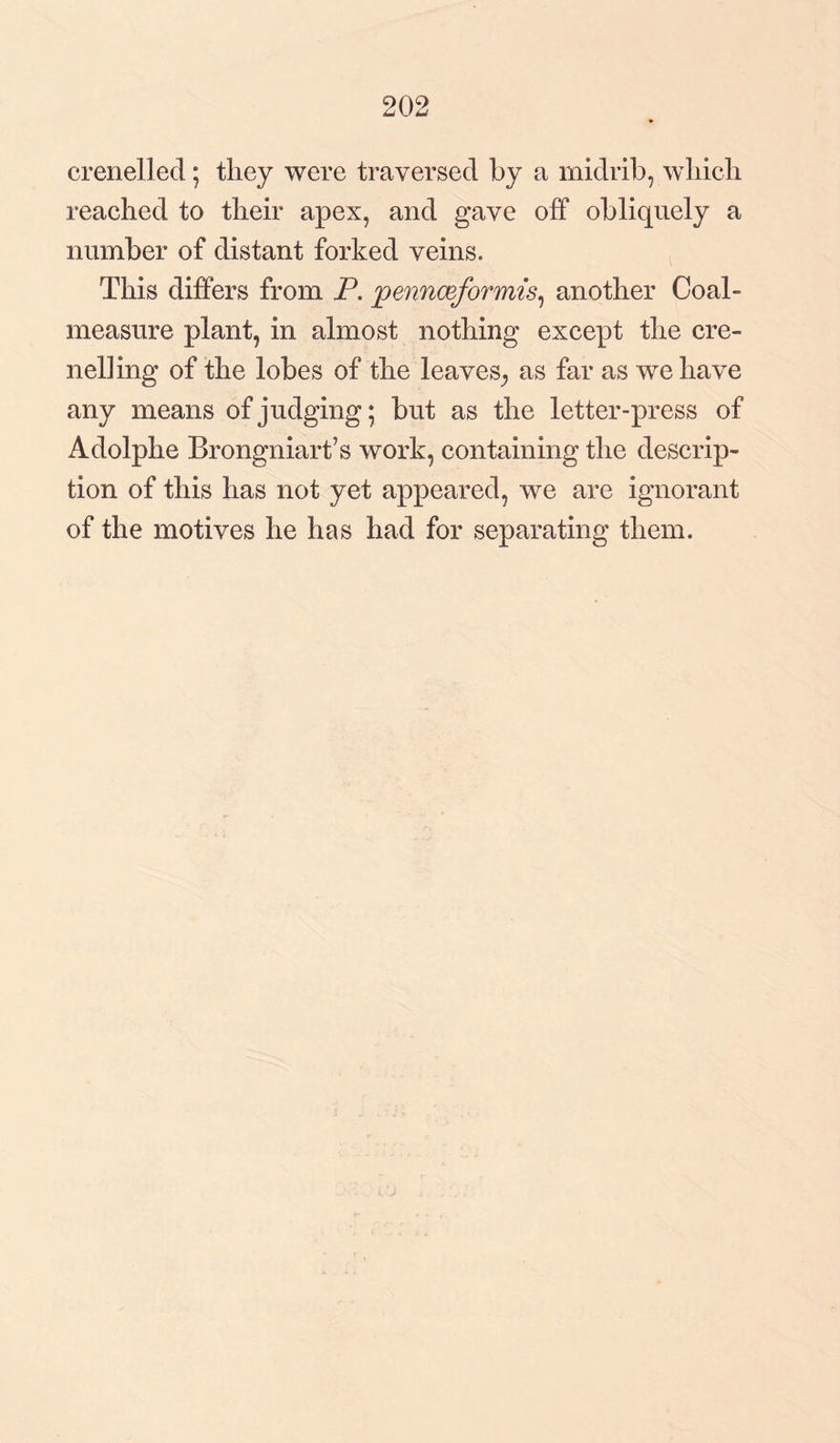 202 crenelled; they were traversed by a midrib, which reached to their apex, and gave off obliquely a number of distant forked veins. This differs from P. jpennceformis, another Coal- measure plant, in almost nothing except the cre¬ nel] ing of the lobes of the leaves, as far as we have any means of judging; but as the letter-press of Adolphe Brongniart’s work, containing the descrip¬ tion of this has not yet appeared, we are ignorant of the motives he has had for separating them.