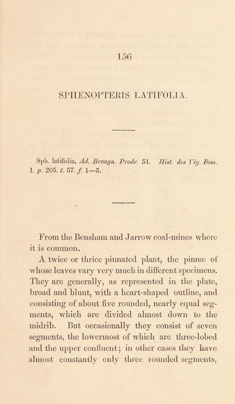 SPHENOPTERIS LATIFOLIA. SpK latifolia, Ad. Prongn. Prodr. 51. Hist. des Peg. Foss. 1. p. 205. t. 57. f 1—5. From the Bensham and Jarrow coal-mines where it is common. A twice or thrice pinnated plant, the pinnm of whose leaves vary very much in different specimens. They are generally, as represented in the plate, broad and blunt, with a heart-shaped outline, and consisting of about five rounded, nearly equal seg¬ ments, which are divided almost down to the midrib. But occasionally they consist of seven segments, the lowermost of which are three-1 obed and the upper confluent; in other cases they have almost constantly only three rounded segments.