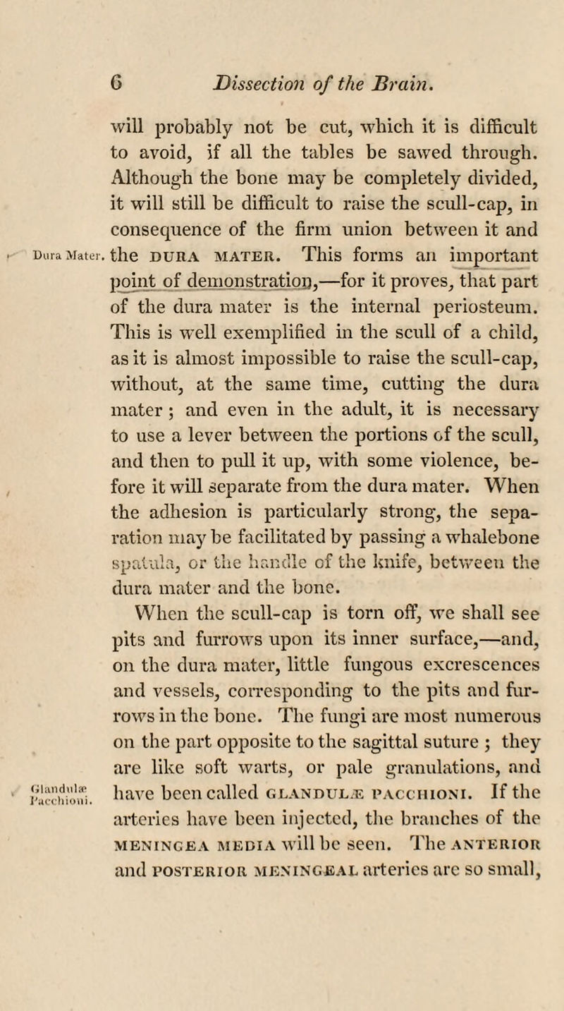 will probably not be cut, which it is difficult to avoid, if all the tables be sawed through. Although the bone may be completely divided, it will still be difficult to raise the scull-cap, in consequence of the firm union between it and Dura Mater, the DURA mater. This forms an important point of demonstration,—for it proves, that part of the dura mater is the internal periosteum. This is well exemplified in the scull of a child, as it is almost impossible to raise the scull-cap, without, at the same time, cutting the dura mater ; and even in the adult, it is necessary to use a lever between the portions of the scull, and then to pull it up, with some violence, be¬ fore it will separate from the dura mater. When the adhesion is particularly strong, the sepa¬ ration may be facilitated by passing a whalebone spatula, or the handle of the knife, between the dura mater and the bone. When the scull-cap is torn off, we shall see pits and furrows upon its inner surface,—and, on the dura mater, little fungous excrescences and vessels, corresponding to the pits and fur¬ rows in the bone. The fungi are most numerous on the part opposite to the sagittal suture ; they are like soft warts, or pale granulations, and Scchioni. have been called glandule Pacchioni. If the arteries have been injected, the branches of the menincea media will be seen. The anterior and posterior meningeal arteries arc so small,