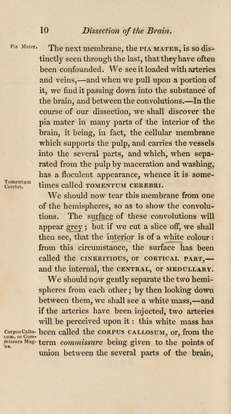 pia Mater. The next membrane, the pia mater, is so dis¬ tinctly seen through the last, that they have often been confounded. We see it loaded with arteries and veins,—and when we pull upon a portion of it, we find it passing down into the substance of the brain, and between the convolutions.—In the course of our dissection, we shall discover the pia mater in many parts of the interior of the brain, it being, in fact, the cellular membrane which supports the pulp, and carries the vessels into the several parts, and which, when sepa¬ rated from the pulp by maceration and washing, has a floculent appearance, whence it is some- ce“bri!um times called tomentum cerebri. We should now tear this membrane from one of the hemispheres, so as to show the convolu¬ tions. The surface of these convolutions will appear grey; but if we cut a slice oft', we shall then see, that the interior is of a white colour : from this circumstance, the surface has been called the cineritious, or cortical part,— and the internal, the central, or medullary. We should now gently separate the two hemi¬ spheres from each other; by then looking down between them, we shall see a white mass,—and if the arteries have been injected, two arteries will be perceived upon it: this white mass has corpusCaiio- been called the corpus callosum, or, from the sum, or Com* t ' 7 rmssura Mag- term commissure being given to the points of union between the several parts of the brain,