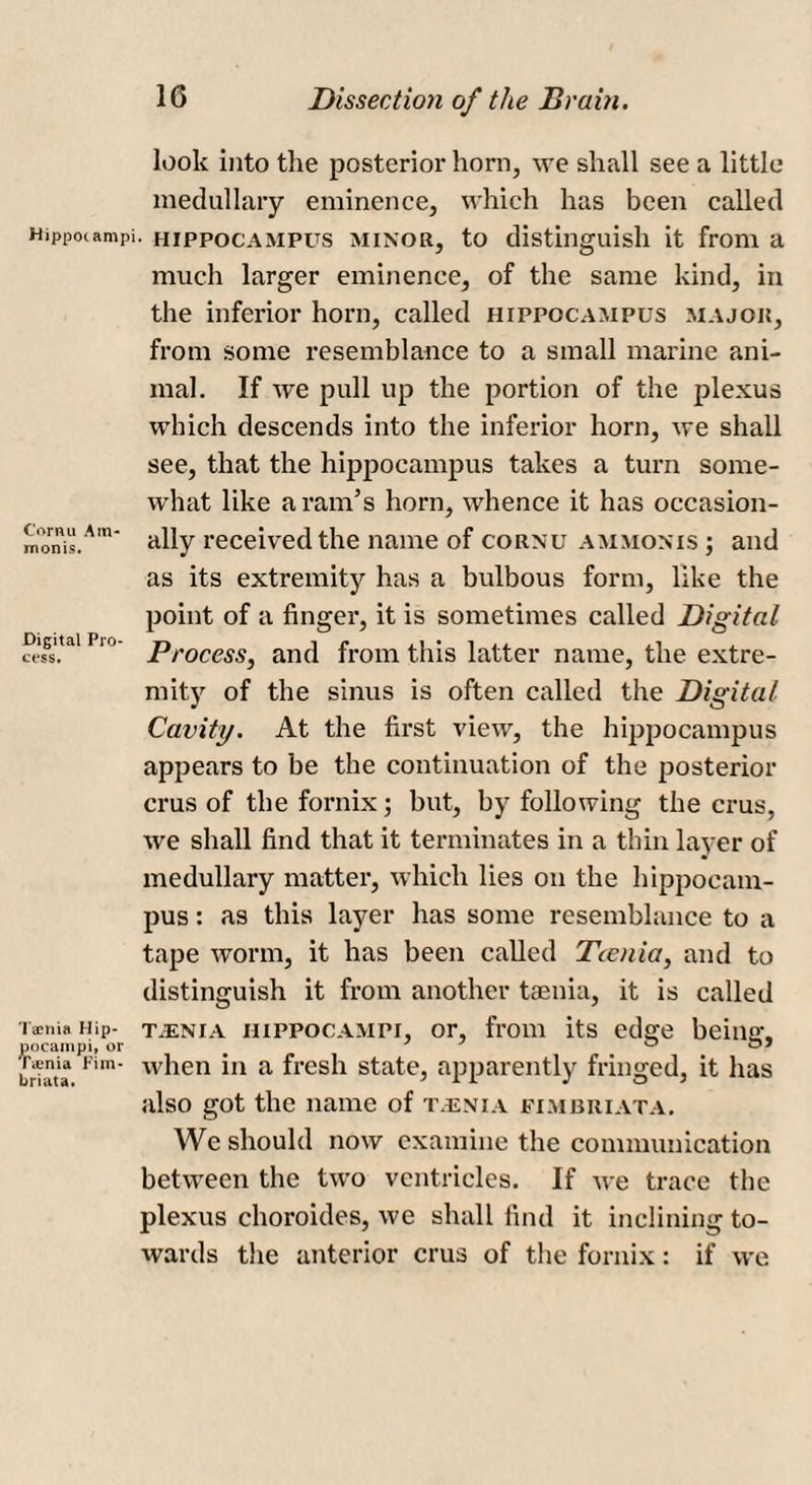 look into the posterior horn, we shall see a little medullary eminence, which has been called Hippocampi, hippocampus minor, to distinguish it from a much larger eminence, of the same kind, in the inferior horn, called hippocampus major, from some resemblance to a small marine ani¬ mal. If we pull up the portion of the plexus which descends into the inferior horn, we shall see, that the hippocampus takes a turn some¬ what like a ram’s horn, whence it has occasion- monis.A'n ally received the name of cornu ammonis ; and as its extremity has a bulbous form, like the point of a finger, it is sometimes called Digital cess.,al P' Process, and from this latter name, the extre¬ mity of the sinus is often called the Digital Cavity. At the first view, the hippocampus appears to be the continuation of the posterior crus of the fornix; but, by following the crus, we shall find that it terminates in a thin layer of medullary matter, which lies on the hippocam¬ pus : as this layer has some resemblance to a tape worm, it has been called Tcenia, and to distinguish it from another taenia, it is called Taenia nip- talnia hippocampi, or, from its edere being-. pocampi, or # J J Pn ua Fim' when ln a fresh state, apparently fringed, it has also got the name of t.enia fimbriata. We should now examine the communication between the two ventricles. If we trace the plexus choroides, we shall find it inclining to¬ wards the anterior crus of the fornix: if we