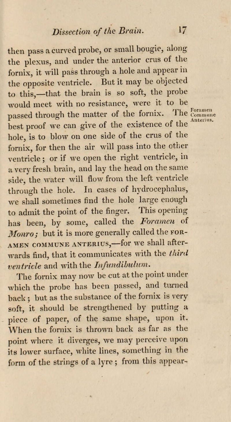 then pass a curved probe, or small bougie, along the plexus, and under the anterior crus of the fornix, it will pass through a hole and appear in the opposite ventricle. But it inay be objected to this,—that the brain is so soft, the probe would meet with no resistance, were it to be passed through the matter of the fornix. '1 he best proof we can give of the existence of the hole, is to blow on one side of the crus of the fornix, for then the air will pass into the other ventricle; or if we open the right ventricle, in a very fresh brain, and lay the head on the same side, the water will flow from the left ventricle through the hole. In cases of hydrocephalus, we shall sometimes find the hole large enough to admit the point of the finger. This opening has been, by some, called the Foramen of Monro; but it is more generally called the for¬ amen commune anterius,—for we shall after¬ wards find, that it communicates with the third ventricle and with the Infundibulum. The fornix may now be cut at the point under which the probe has been passed, and turned back ; but as the substance of the fornix is very soft, it should be strengthened by putting a piece of paper, of the same shape, upon it. When the fornix is thrown back as far as the point where it diverges, we may perceive upon its lower surface, white lines, something in the form of the strings of a lyre ; from this appear- Foramen Commune Anterius.