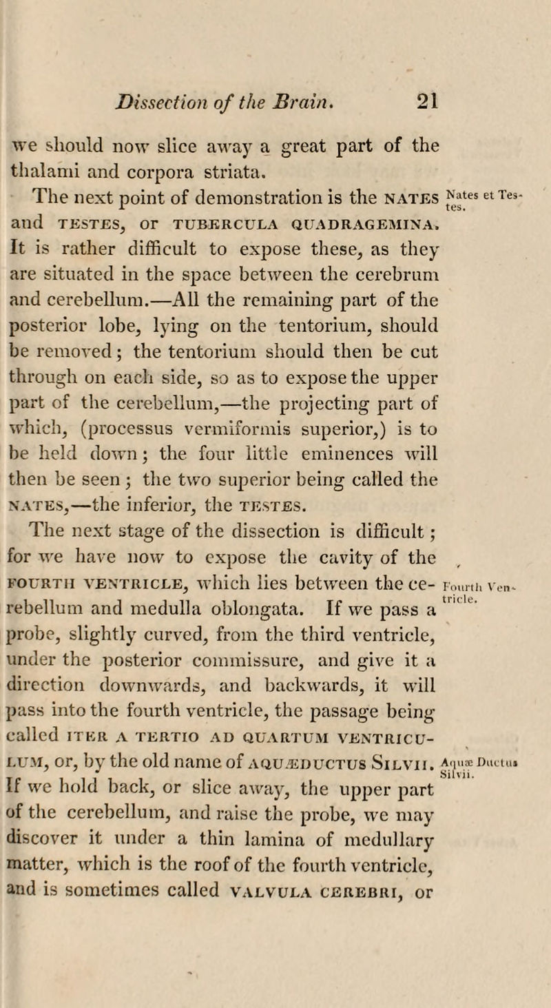 we should now slice away a great part of the thalami and corpora striata. The next point of demonstration is the nates ^tes etTes- and TESTES, or TUBERCULA qijadragemina. It is rather difficult to expose these, as they are situated in the space between the cerebrum and cerebellum.—All the remaining part of the posterior lobe, lying on the tentorium, should be removed; the tentorium should then be cut through on each side, so as to expose the upper part of the cerebellum,—the projecting part of which, (processus vermiformis superior,) is to be held down; the four little eminences will then be seen ; the two superior being called the nates,—the inferior, the testes. The next stage of the dissection is difficult; for we have now to expose the cavity of the fourth ventricle, which lies between thece- Fourth ven. rebellum and medulla oblongata. If we pass a '<k probe, slightly curved, from the third ventricle, under the posterior commissure, and give it a direction downwards, and backwards, it will pass into the fourth ventricle, the passage being called iter a tertio ad quartum ventricu- lum, or, by the old name of aqu.eductus Silvii. Am.® rhum* T ill! i t Silvii. If we hold back, or slice away, the upper part of the cerebellum, and raise the probe, we may discover it under a thin lamina of medullary matter, which is the roof of the fourth ventricle, and is sometimes called valvula cerebri, or