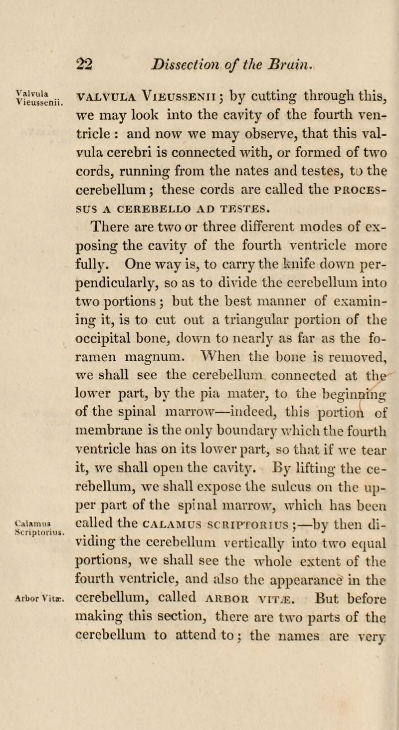Valvula Vieussenii. Calamus Scriptorius. Arbor Vitae. valvula Vxkussenii; by cutting through this, we may look into the cavity of the fourth ven¬ tricle : and now we may observe, that this val¬ vula cerebri is connected with, or formed of two cords, running from the nates and testes, to the cerebellum; these cords are called the proces¬ sus A CEREBELJLO AD TESTES. There are two or three different modes of ex¬ posing the cavity of the fourth ventricle more fully. One way is, to cany the knife down per¬ pendicularly, so as to divide the cerebellum into two portions ; but the best manner of examin¬ ing it, is to cut out a triangular portion of the occipital bone, down to nearly as far as the fo¬ ramen magnum. When the bone is removed, we shall see the cerebellum connected at the lower part, by the pia mater, to the beginning of the spinal marrow—indeed, this portion of membrane is the only boundary which the fourth ventricle has on its lower part, so that if we tear it, we shall open the cavity. By lifting the ce¬ rebellum, we shall expose the sulcus on the up¬ per part of the spinal marrow, which has been called the calamus scriptorius;—by then di¬ viding the cerebellum vertically into two equal portions, we shall see the whole extent of the fourth ventricle, and also the appearance in the cerebellum, called arbor vit,e. But before making this section, there are two parts of the cerebellum to attend to; the names are very