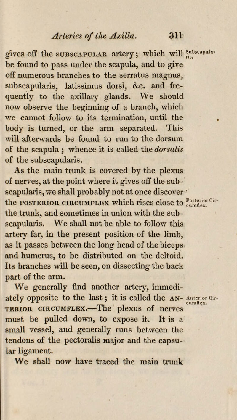 gives off the subscapular artery; which will be found to pass under the scapula, and to give off numerous branches to the serratus magnus, subscapularis, latissimus dorsi, &c. and fre¬ quently to the axillary glands. We should now observe the beginning of a branch, which we cannot follow to its termination, until the body is turned, or the arm separated. This will afterwards be found to run to the dorsum of the scapula ; whence it is called the dorsalis of the subscapularis. As the main trunk is covered by the plexus of nerves, at the point where it gives off the sub¬ scapularis, we shall probably not at once discover the posterior circumflex which rises close to the trunk, and sometimes in union with the sub¬ scapularis. We shall not be able to follow this artery far, in the present position of the limb, as it passes between the long head of the biceps and humerus, to be distributed on the deltoid. Its branches will be seen, on dissecting the back part of the arm. We generally find another artery, immedi¬ ately opposite to the last; it is called the an¬ terior circumflex.—The plexus of nerves must be pulled down, to expose it. It is a small vessel, and generally runs between the tendons of the pectoralis major and the capsu¬ lar ligament. We shall now have traced the main trunk SubscapuU- ris. Posterior Cir¬ cumflex. Anterior Cir¬ cumflex.
