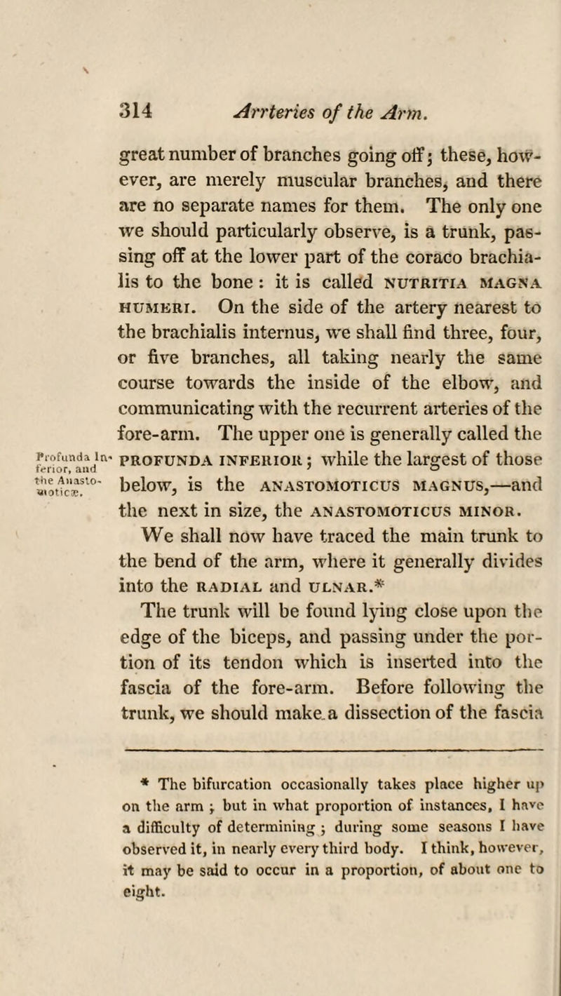 l*rofunda In¬ ferior, and the Anasto¬ motic;*;. great number of branches going off; these, how¬ ever, are merely muscular branches, and there are no separate names for them. The only one we should particularly observe, is a trunk, pas¬ sing off at the lower part of the coraco brachia- lis to the bone : it is called nutritia magna humeri. On the side of the artery nearest to the brachialis internus, we shall find three, four, or five branches, all taking nearly the same course towards the inside of the elbow, and communicating with the recurrent arteries of the fore-arin. The upper one is generally called the profunda inferior ; while the largest of those below, is the anastomoticus magnus,—and the next in size, the anastomoticus minor. We shall now have traced the main trunk to the bend of the arm, where it generally divides into the radial and ulnar.* The trunk will be found lying close upon the edge of the biceps, and passing under the por¬ tion of its tendon which is inserted into the fascia of the fore-arm. Before following the trunk, we should make, a dissection of the fascia * The bifurcation occasionally takes place higher up on the arm -r but in what proportion of instances, I have a difficulty of determining j during some seasons I have observed it, in nearly ever)' third body. I think, however, it may be said to occur in a proportion, of about one to eight.