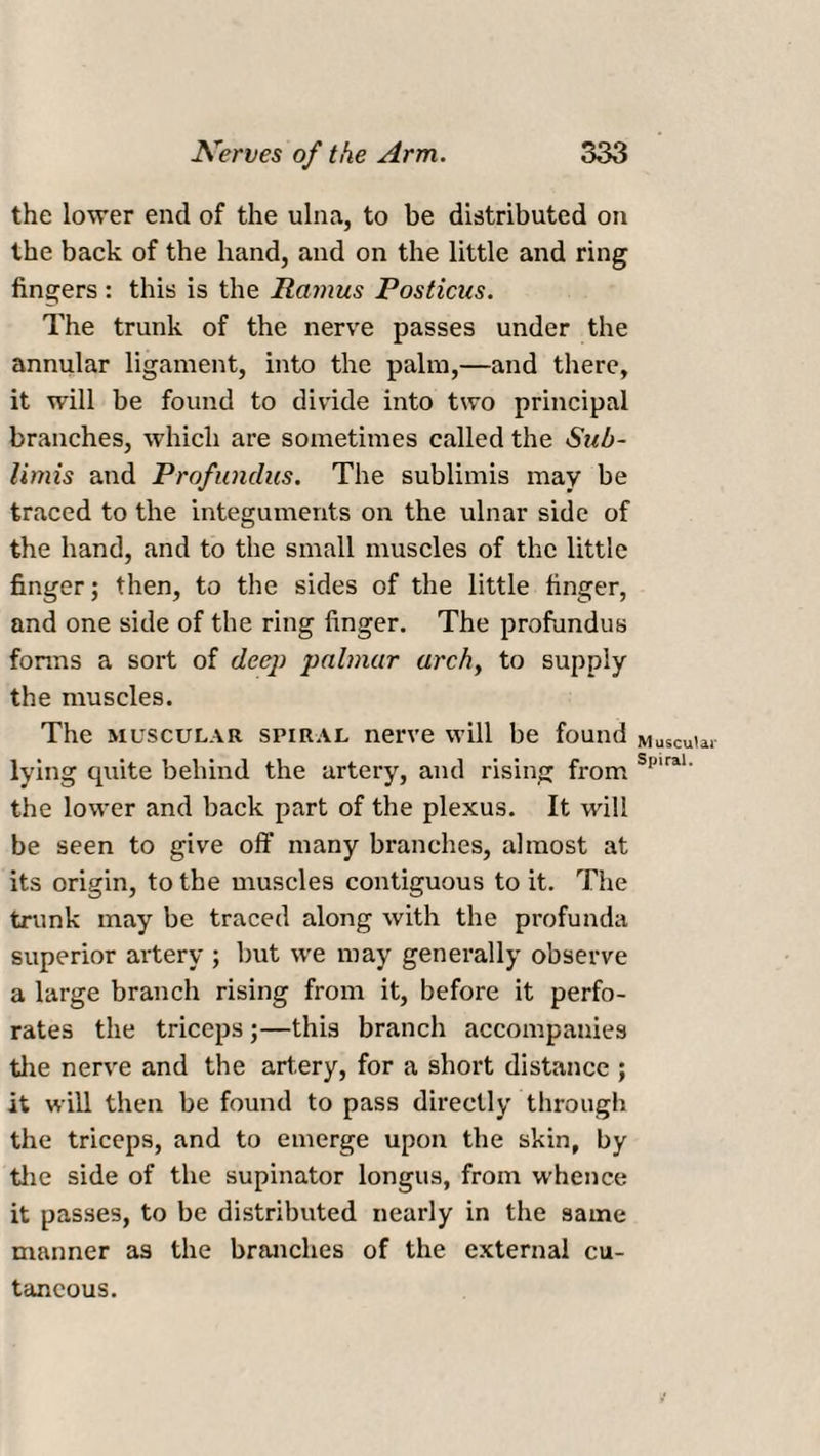 the lower end of the ulna, to be distributed on the back of the hand, and on the little and ring fingers: this is the Ramus Posticus. The trunk of the nerve passes under the annular ligament, into the palm,—and there, it will be found to divide into two principal branches, which are sometimes called the Sub- limis and Profundus. The sublimis may be traced to the integuments on the ulnar side of the hand, and to the small muscles of the little finger; then, to the sides of the little finger, and one side of the ring finger. The profundus forms a sort of deep palmar arch, to supply the muscles. The muscular spiral nerve will be found lying quite behind the artery, and rising from the lower and back part of the plexus. It will be seen to give off many branches, almost at its origin, to the muscles contiguous to it. The trunk may be traced along with the profunda superior artery ; but we may generally observe a large branch rising from it, before it perfo¬ rates the triceps ;—this branch accompanies the nerve and the artery, for a short distance ; it will then be found to pass directly through the triceps, and to emerge upon the skin, by the side of the supinator longus, from whence it passes, to be distributed nearly in the same manner as the branches of the external cu¬ taneous. Muscular Spiral.