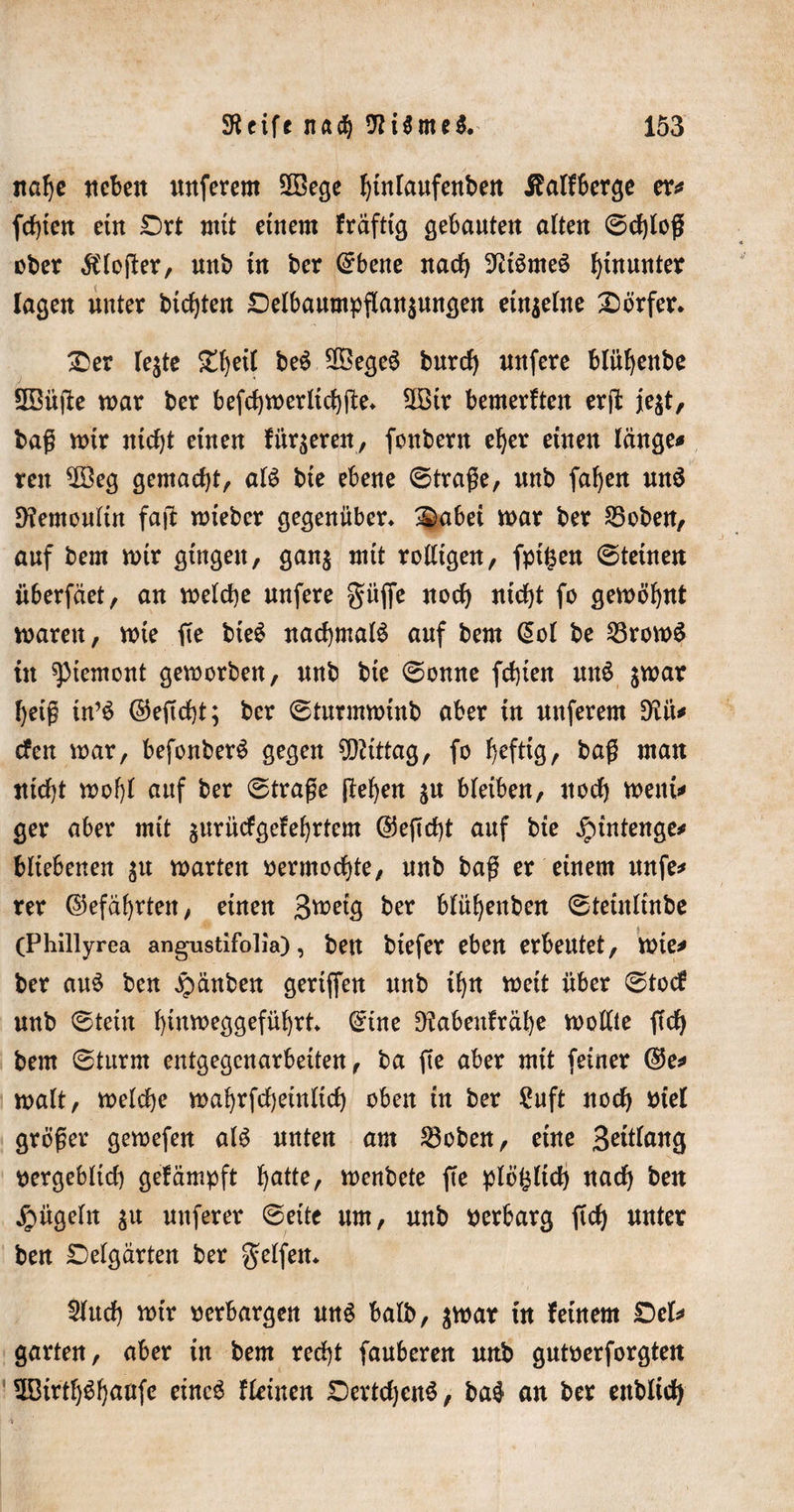 nabe ncbett nuferem 2öege binlaufenben ifalfberge er* fegten ein £)rt mit einem fräfttg gebauten alten ©eblog ober $loger, unb in ber ©bene nach 9it3me$ hinunter lagen unter btegten £)elbaumpgan$ungen einzelne Dörfer. £)er le^te Ztyil be§ 28ege$ bureb nufere blügenbe 2Büge mar ber befcbmerlicgge* 5Bir bemerken erg je$t, bag mir nicf)t einen fingeren, fonbern eger einen länge* ren $3eg gemacht, al$ bie ebene ©trage, unb fafjen unö 9iemoultn fag mieber gegenüber* ®abet mar ber 25oben, auf bem mir gingen, ganj mit rolligen, fptfcen ©teüten überfäet, an melcbe unfere giijfe noch nicht fo gemögnt maren, mie fie bte$ nachmals auf bem @ol be 23rom$ in gement gemorben, unb bie ©onne fegien unS jmar geig in’$ ©egegt; ber ©turmminb aber in nuferem Düt* efen mar, befonberS gegen Mittag, fo befttg, bag man nicht mobl auf ber ©trage geben ju bleiben, uoeb mein* ger aber mit surücfgefegrtem ©egegt auf bie Jpintenge* bliebenen $u märten oermoegte, unb bag er einem unfe* rer ©efäbrten, einen 3wetg ber blübenben ©teinlinbe (Phillyrea angustifolia), ben biefer eben erbeutet, mie* ber au$ ben jrmnben geriffen unb ibn meit über ©toef unb ©tetu gtnmeggefübrt* ©ine ^abenfräbe moüte geb bem ©türm entgegenarbeiten, ba ge aber mit feiner ©e* malt, melcbe mabrfcgetttltcg oben in ber £uft noch oiel gröger gemefen al£ unten am S3oben, eine Belang oergebltcg gefämpft gatte, wettbete ge ptöfclid) nach ben jpügeln $u uttferer ©eite um, unb oerbarg geb unter ben £)elgärten ber Reifen* Sfttcg mir oerbargen utt$ halb, $mar in feinem £&gt;el* garten, aber in bem recht fauberen unb gutoerforgten $ßirtf)$baufe eincö flehten Dertcgenö, ba$ an ber ettblicb
