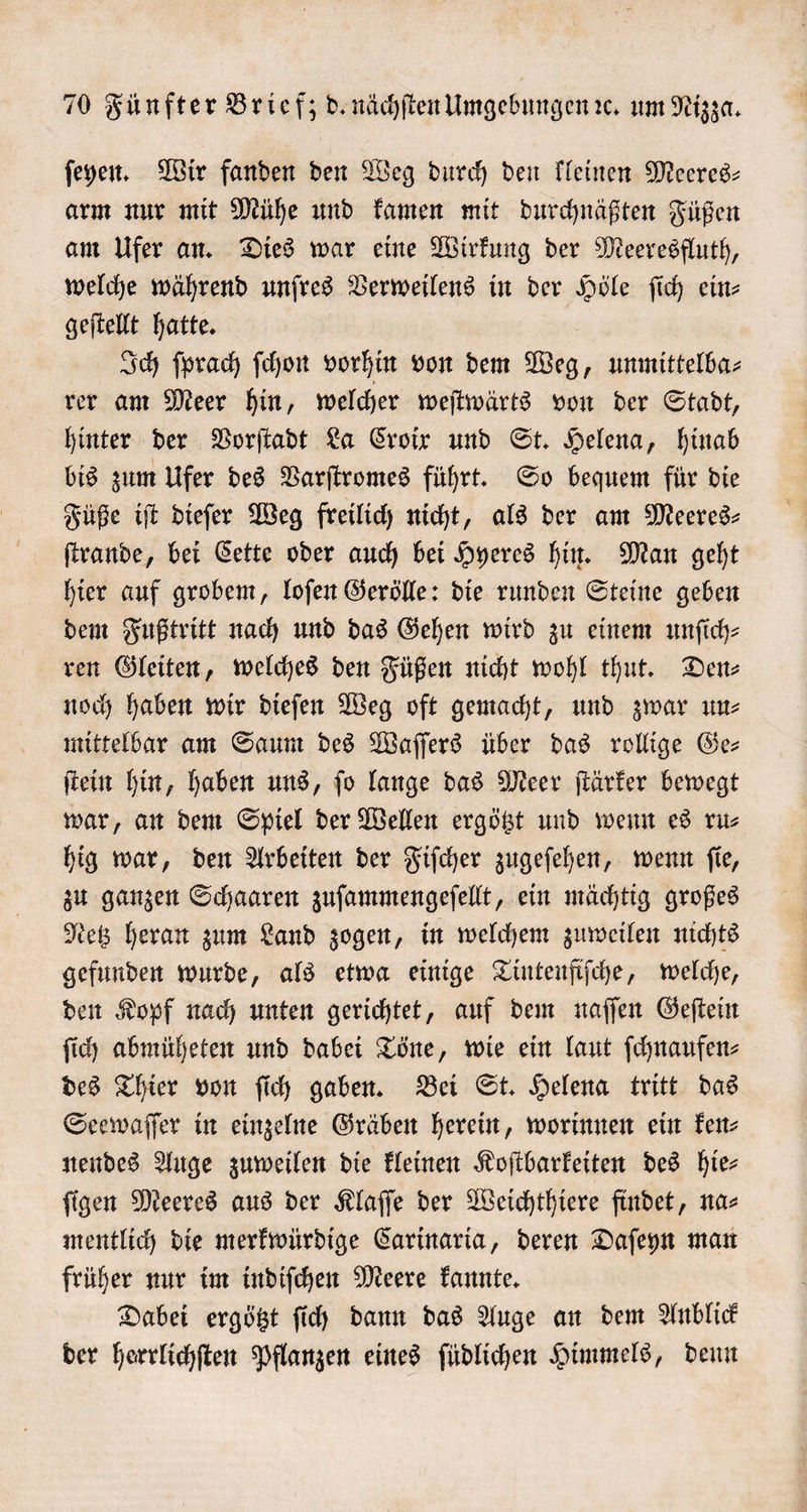 ſeyen. Wir fanden den Weg durch den kleinen Meeres- arm nur mit Mühe und kamen mit durchnäßten Füßen am Ufer an. Dies war eine Wirkung der Meeresfluth, welche während unſres Verweilens in der Höle ſich ein- geſtellt hatte. Ich ſprach ſchon vorhin von dem Weg, unmittelba⸗ rer am Meer hin, welcher weſtwärts von der Stadt, hinter der Vorſtadt La Croix und St. Helena, hinab bis zum Ufer des Varſtromes führt. So bequem für die Füße iſt dieſer Weg freilich nicht, als der am Meeres— ſtrande, bei Cette oder auch bei Hyeres hin. Man geht hier auf grobem, loſen Gerölle: die runden Steine geben dem Fußtritt nach und das Gehen wird zu einem unſich— ren Gleiten, welches den Füßen nicht wohl thut. Den⸗ noch haben wir dieſen Weg oft gemacht, und zwar um mittelbar am Saum des Waſſers über das rollige Ge— ſtein hin, haben uns, ſo lange das Meer ſtärker bewegt war, an dem Spiel der Wellen ergötzt und wenn es ru⸗ hig war, den Arbeiten der Fiſcher zugeſehen, wenn ſie, zu ganzen Schaaren zuſammengeſellt, ein mächtig großes Netz heran zum Land zogen, in welchem zuweilen nichts gefunden wurde, als etwa einige Tintenfiſche, welche, den Kopf nach unten gerichtet, auf dem naſſen Geſtein ſich abmüheten und dabei Töne, wie ein laut ſchnaufen⸗ des Thier von ſich gaben. Bei St. Helena tritt das Seewaſſer in einzelne Gräben herein, worinnen ein ken⸗ nendes Auge zuweilen die kleinen Koſtbarkeiten des hie- ſigen Meeres aus der Klaſſe der Weichthiere findet, na⸗ mentlich die merkwürdige Carinaria, deren Daſeyn man früher nur im indiſchen Meere kannte. Dabei ergötzt ſich dann das Auge an dem Anblick der herrlichſten Pflanzen eines ſüdlichen Himmels, denn