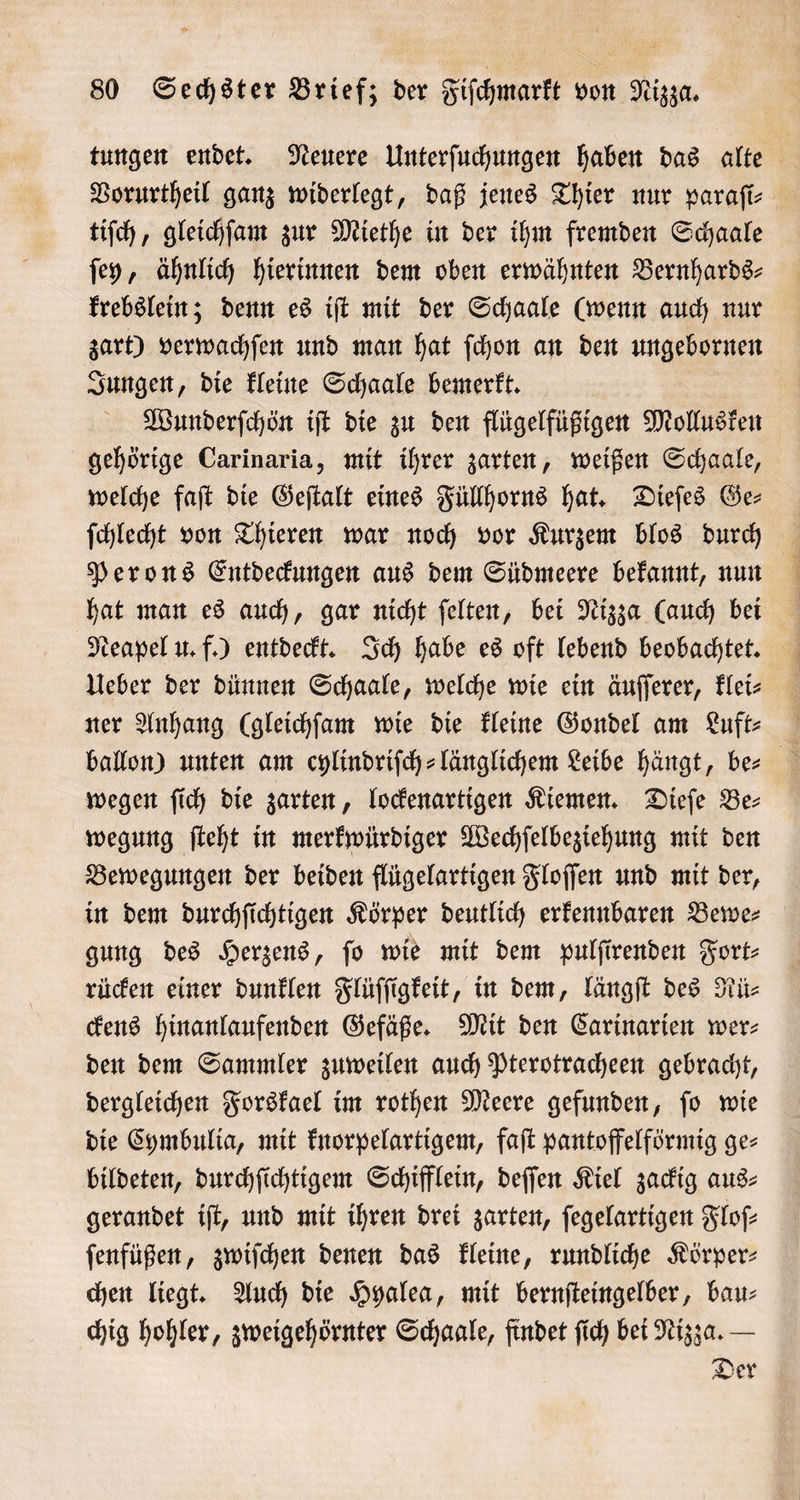 Vorurtheil ganz widerlegt, daß jenes Thier nur paraſi⸗ tiſch, gleichſam zur Miethe in der ihm fremden Schaale ſey, ähnlich hierinnen dem oben erwähnten Bernhards⸗ krebslein; denn es iſt mit der Schaale (wenn auch nur zart) verwachſen und man hat ſchon an den ungebornen Jungen, die kleine Schaale bemerkt. Wunderſchön iſt die zu den flügelfüßigen Mollusken gehörige Carinaria, mit ihrer zarten, weißen Schaale, welche faſt die Geſtalt eines Füllhorns hat. Dieſes Ges ſchlecht von Thieren war noch vor Kurzem blos durch Perons Entdeckungen aus dem Südmeere bekannt, nun hat man es auch, gar nicht ſelten, bei Nizza (auch bei Neapel u. f.) entdeckt. Ich habe es oft lebend beobachtet. Ueber der dünnen Schaale, welche wie ein äuſſerer, klei⸗ 3 ballon) unten am cylindriſch⸗länglichem Leibe hängt, be⸗ wegen ſich die zarten, lockenartigen Kiemen. Dieſe Be⸗ wegung ſteht in merkwürdiger Wechſelbeziehung mit den Bewegungen der beiden flügelartigen Floſſen und mit der, in dem durchſichtigen Körper deutlich erkennbaren Bewe⸗ gung des Herzens, ſo wie mit dem pulſirenden Fort⸗ rücken einer dunklen Flüſſigkeit, in dem, längſt des Rü⸗ ckens hinanlaufenden Gefäße. Mit den Carinarien wer: den dem Sammler zuweilen auch Pterotracheen gebracht, dergleichen Forskael im rothen Meere gefunden, ſo wie die Cymbulia, mit knorpelartigem, faſt pantoffelförmig ge- bildeten, durchſichtigem Schifflein, deſſen Kiel zackig aus⸗ gerandet iſt, und mit ihren drei zarten, ſegelartigen Floſ⸗ ſenfüßen, zwiſchen denen das kleine, rundliche Körper⸗ chen liegt. Auch die Hyalea, mit bernſteingelber, bau⸗ chig hohler, zweigehörnter Schaale, findet ſich bei Nizza. — Der