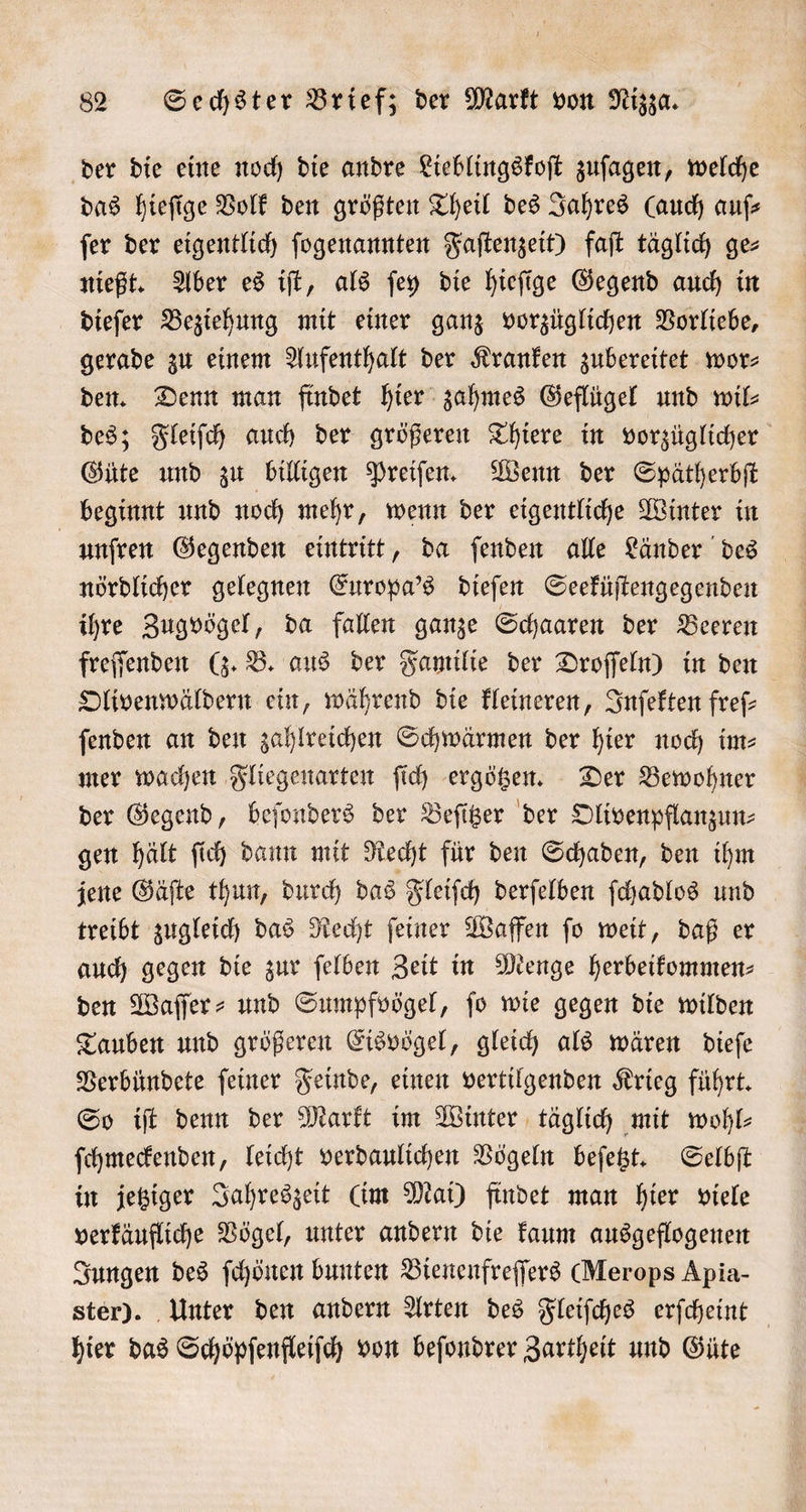 der die eine noch die andre Lieblingskoſt zuſagen, welche das hieſige Volk den größten Theil des Jahres (auch aufs ſer der eigentlich ſogenannten Faſtenzeit) faſt täglich ge⸗ nießt. Aber es iſt, als ſey die hieſige Gegend auch in dieſer Beziehung mit einer ganz vorzüglichen Vorliebe, gerade zu einem Aufenthalt der Kranken zubereitet wor: den. Denn man findet hier zahmes Geflügel und wil— Güte und zu billigen Preiſen. Wenn der Spätherbſt beginnt und noch mehr, wenn der eigentliche Winter in unſren Gegenden eintritt, da ſenden alle Länder des nördlicher gelegnen Europa's dieſen Seeküſtengegenden ihre Zugvögel, da fallen ganze Schaaren der Beeren freſſenden (z. B. aus der Familie der Droſſeln) in den Olivenwäldern ein, während die kleineren, Inſekten fref- ſenden an den zahlreichen Schwärmen der hier noch im mer wachen Fliegenarten ſich ergötzen. Der Bewohner der Gegend, beſonders der Beſitzer der Olivenpflanzun⸗ gen hält ſich dann mit Recht für den Schaden, den ihm jene Gäſte thun, durch das Fleiſch derſelben ſchadlos und treibt zugleich das Recht ſeiner Waffen ſo weit, daß er auch gegen die zur ſelben Zeit in Menge herbeikommen⸗ den Waſſer⸗ und Sumpfvögel, jo wie gegen die wilden Tauben und größeren Eisvögel, gleich als wären dieſe Verbündete ſeiner Feinde, einen vertilgenden Krieg führt. So iſt denn der Markt im Winter täglich mit wohl⸗ ſchmeckenden, leicht verdaulichen Vögeln beſetzt. Selbſt in jetziger Jahreszeit (kim Mai) findet man hier viele verkäufliche Vögel, unter andern die kaum ausgeflogenen Jungen des ſchönen bunten Bienenfreſſers (Merops Apia- hier das Schöpſenfleiſch von beſondrer Zartheit und Güte