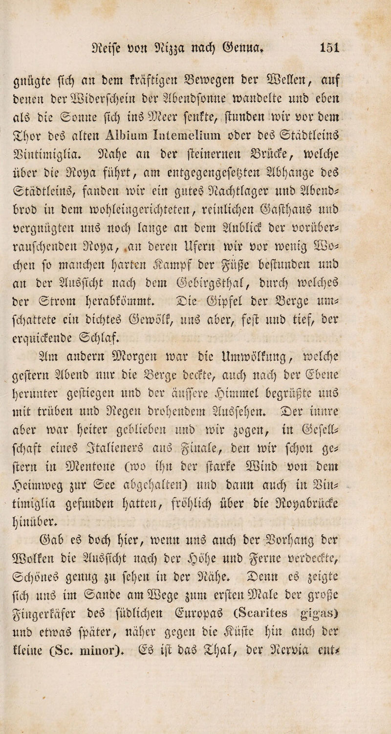 gnügte ſich an dem kräftigen Bewegen der Wellen, auf denen der Widerſchein der Abendſonne wandelte und eben als die Sonne ſich ins Meer ſenkte, ſtunden wir vor dem Thor des alten Albium Intemelium oder des Städtleins Vintimiglia. Nahe an der ſteinernen Brücke, welche über die Roya führt, am entgegengeſetzten Abhange des Städtleins, fanden wir ein gutes Nachtlager und Abend⸗ brod in dem wohleingerichteten, reinlichen Gaſthaus und vergnügten uns noch lange an dem Anblick der vorüber⸗ rauſchenden Roya, an deren Ufern wir vor wenig Wo⸗ chen ſo manchen harten Kampf der Füße beſtunden und an der Ausſicht nach dem Gebirgsthal, durch welches der Strom herabkömmt. Die Gipfel der Berge um⸗ ſchattete ein dichtes Gewölk, uns n feſt und tief, der erquickende Schlaf. Am andern Morgen war die Umwölkung, welche geſtern Abend nur die Berge deckte, auch nach der Ebene herunter geſtiegen und der äuſſere Himmel begrüßte uns mit trüben und Regen drohendem Ausſehen. Der innre aber war heiter geblieben und wir zogen, in Geſell⸗ ſchaft eines Italieners aus Finale, den wir ſchon ge⸗ ſtern in Mentone (wo ihn der ſtarke Wind von dem Heimweg zur See abgehalten) und dann auch in Vin⸗ timiglia gefunden hatten, fröhlich über die Royabrücke hinüber. Gab es doch hier, wenn uns auch der Vorhang der Wolken die Ausſicht nach der Höhe und Ferne verdeckte, Schönes genug zu ſehen in der Nähe. Denn es zeigte ſich uns im Sande am Wege zum erſten Male der große Fingerkäfer des ſüdlichen Europas (Scarites gigas) und etwas ſpäter, näher gegen die Küſte hin auch der kleine (Sc. minor). Es iſt das Thal, der Nervig ent⸗