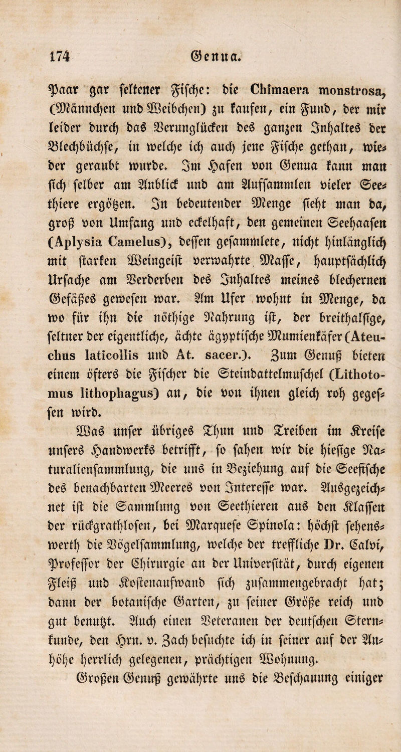 Paar gar ſeltener Fiſche: die Chimaera monstrosa, (Männchen und Weibchen) zu kaufen, ein Fund, der mir leider durch das Verunglücken des ganzen Inhaltes der Blechbüchſe, in welche ich auch jene Fiſche gethan, wie⸗ der geraubt wurde. Im Hafen von Genua kann man ſich ſelber am Anblick und am Aufſammlen vieler See⸗ thiere ergötzen. In bedeutender Menge ſieht man da, groß von Umfang und eckelhaft, den gemeinen Seehaaſen (Aplysia Camelus), deſſen geſammlete, nicht hinlänglich mit ſtarken Weingeiſt verwahrte Maſſe, hauptſächlich Urſache am Verderben des Inhaltes meines blechernen Gefäßes geweſen war. Am Ufer wohnt in Menge, da wo für ihn die nöthige Nahrung iſt, der breithalſige, ſeltner der eigentliche, ächte ägyptiſche Mumienkäfer (Ateu- chus laticollis und At. sacer.). Zum Genuß bieten einem öfters die Fiſcher die Steindattelmuſchel (Lithoto- mus lithophagus) an, die von ihnen gleich roh gegeſ⸗ ſen wird. Was unſer übriges Thun und Treiben im Kreiſe unſers Handwerks betrifft, ſo ſahen wir die hieſige Na⸗ turalienſammlung, die uns in Beziehung auf die Seefiſche des benachbarten Meeres von Intereſſe war. Ausgezeich⸗ net iſt die Sammlung von Seethieren aus den Klaſſen der rückgrathloſen, bei Marqueſe Spinola: höchſt feheng- werth die Vögelſammlung, welche der treffliche Dr. Calvi, Profeſſor der Chirurgie an der Univerſität, durch eigenen Fleiß und Koſtenaufwand ſich zuſammengebracht hat; dann der botaniſche Garten, zu ſeiner Größe reich und gut benutzt. Auch einen Veteranen der deutſchen Stern— kunde, den Hrn. v. Zach beſuchte ich in ſeiner auf der An⸗ höhe herrlich gelegenen, prächtigen Wohnung. Großen Genuß gewährte uns die Beſchauung einiger