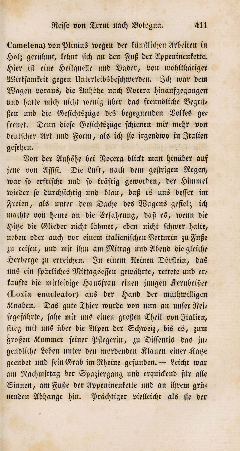 Camelena) von Plinius wegen der künſtlichen Arbeiten in Holz gerühmt, lehnt ſich an den Fuß der Appeninenkette. Hier iſt eine Heilquelle und Bäder, von wohlthätiger Wirkſamkeit gegen Unterleibsbeſchwerden. Ich war dem Wagen voraus, die Anhöhe nach Nocera hinaufgegangen und hatte mich nicht wenig über das freundliche Begrü— ßen und die Geſichtszüge des begegnenden Volkes ge— freuet. Denn dieſe Geſichtszüge ſchienen mir mehr von deutſcher Art und Form, als ich ſie ee in Italien geſehen. Von der Anhöhe bei Nocera blickt man hinüber 55 jene von Aſſiſi fi. Die Luft, nach dem geſtrigen Regen, war ſo erfriſcht und ſo kräftig geworden, der Himmel wieder ſo durchſichtig und blau, daß es uns beſſer im Freien, als unter dem Dache des Wagens geſtel; ich machte von heute an die Erfahrung, daß es, wenn die Hitze die Glieder nicht lähmet, eben nicht ſchwer halte, neben oder auch vor einem italieniſchen Vetturin zu Fuße zu reiſen, und mit ihm am Mittag und Abend die gleiche Herberge zu erreichen. In einem kleinen Dörflein, das uns ein ſpärliches Mittagseſſen gewährte, rettete und er— kaufte die mitleidige Hausfrau einen jungen Kernbeißer (Loxia enucleator) aus der Hand der muthwilligen Knaben. Das gute Thier wurde von nun an unſer Rei⸗ ſegefährte, ſahe mit uns einen großen Theil von Italien, ſtieg mit uns über die Alpen der Schweiz, bis es, zum großen Kummer ſeiner Pflegerin, zu Diſſentis das jus gendliche Leben unter den mordenden Klauen einer Katze geendet und fein Grab im Rheine gefunden. — Leicht war am Nachmittag der Spaziergang und erquickend für alle Sinnen, am Fuße der Appeninenkette und an ihrem grü— nenden Abhange hin. Prächtiger vielleicht als ſie der