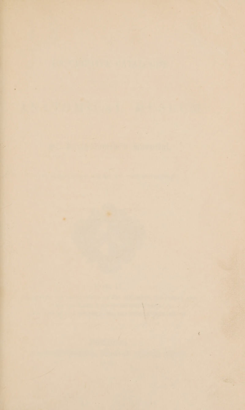 fines 7 i > 7) cd. a a ° My _ pr - we 7 © >. = 0% ny aan cv Phan? Oe tte oe : ,/ . le V a up mip ict  Bena ial. ane ithe cee P “> ened. | fs
