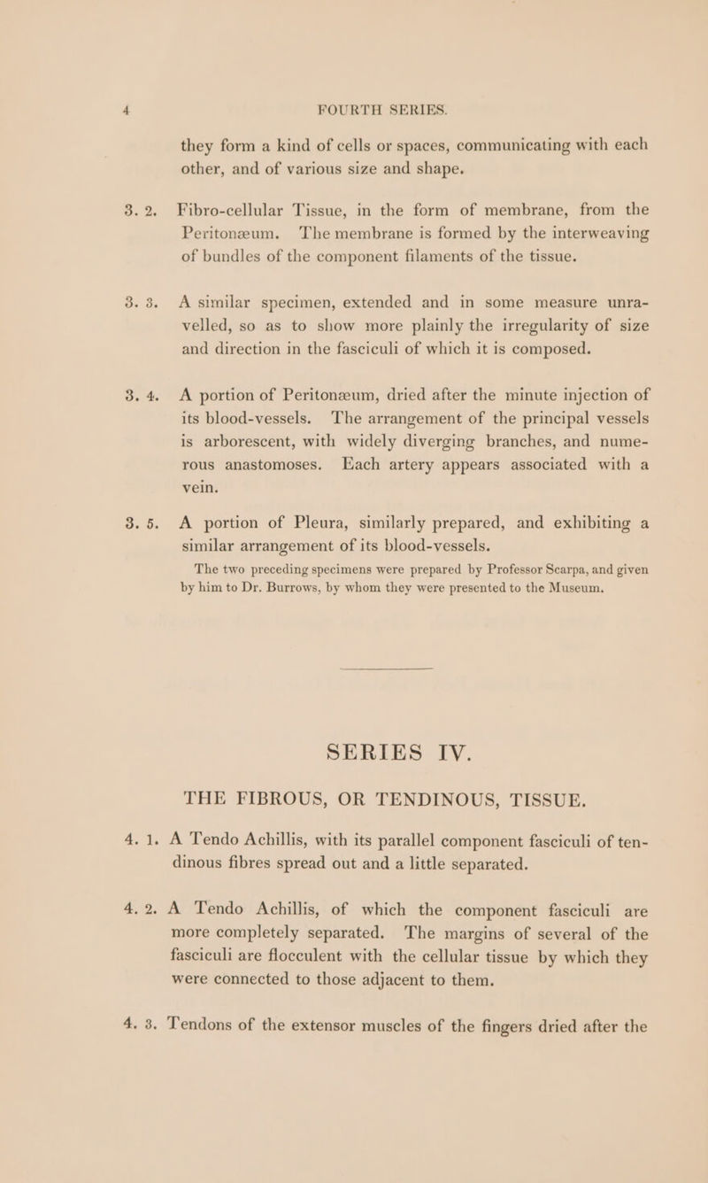 they form a kind of cells or spaces, communicating with each other, and of various size and shape. 3.2. Fibro-cellular Tissue, in the form of membrane, from the Peritoneum. ‘The membrane is formed by the interweaving of bundles of the component filaments of the tissue. 3.3. A similar specimen, extended and in some measure unra- velled, so as to show more plainly the irregularity of size and direction in the fasciculi of which it is composed. 3.4. <A portion of Peritonazeum, dried after the minute injection of its blood-vessels. The arrangement of the principal vessels is arborescent, with widely diverging branches, and nume- rous anastomoses. Lach artery appears associated with a vein. 3.5. A portion of Pleura, similarly prepared, and exhibiting a similar arrangement of its blood-vessels. The two preceding specimens were prepared by Professor Scarpa, and given by him to Dr. Burrows, by whom they were presented to the Museum, SERIES IV. THE FIBROUS, OR TENDINOUS, TISSUE. 4.1. A Tendo Achillis, with its parallel component fasciculi of ten- dinous fibres spread out and a little separated. 4.2. A Tendo Achillis, of which the component fasciculi are more completely separated. The margins of several of the fasciculi are flocculent with the cellular tissue by which they were connected to those adjacent to them. 4. 3. Tendons of the extensor muscles of the fingers dried after the