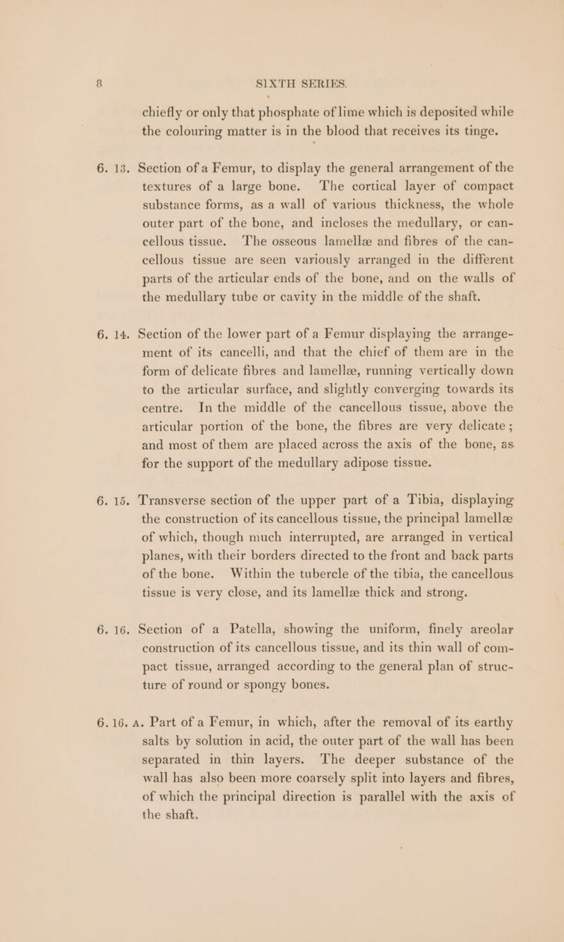 chiefly or only that phosphate of lime which is deposited while the colouring matter is in the blood that receives its tinge. 6. 13. Section of a Femur, to display the general arrangement of the textures of a large bone. ‘The cortical layer of compact substance forms, as a wall of various thickness, the whole outer part of the bone, and incloses the medullary, or can- cellous tissue. The osseous lamelle and fibres of the can- cellous tissue are seen variously arranged in the different parts of the articular ends of the bone, and on the walls of the medullary tube or cavity in the middle of the shaft. 6. 14. Section of the lower part of a Femur displaying the arrange- ment of its cancelli, and that the chief of them are in the form of delicate fibres and lamellee, running vertically down to the articular surface, and slightly converging towards its centre. Inthe middle of the cancellous tissue, above the articular portion of the bone, the fibres are very delicate ; and most of them are placed across the axis of the bone, as for the support of the medullary adipose tissue. 6. 15. Transverse section of the upper part of a Tibia, displaying the construction of its cancellous tissue, the principal lamellze of which, though much interrupted, are arranged in vertical planes, with their borders directed to the front and back parts of the bone. Within the tubercle of the tibia, the cancellous tissue is very close, and its lamellz thick and strong. 6. 16. Seetion of a Patella, showing the uniform, finely areolar construction of its cancellous tissue, and its thin wall of com- pact tissue, arranged according to the general plan of struc- ture of round or spongy bones. 6.16, A. Part of a Femur, in which, after the removal of its earthy salts by solution in acid, the outer part of the wall has been separated in thin layers. The deeper substance of the wall has also been more coarsely split into layers and fibres, of which the principal direction is parallel with the axis of the shaft.