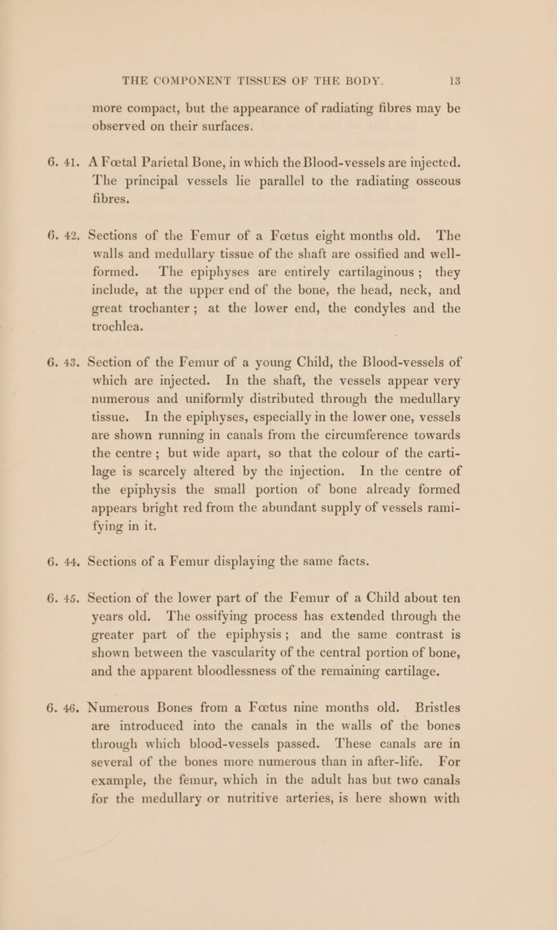 more compact, but the appearance of radiating fibres may be observed on their surfaces. A Feetal Parietal Bone, in which the Blood-vessels are injected. The principal vessels lie parallel to the radiating osseous fibres. Sections of the Femur of a Foetus eight months old. The walls and medullary tissue of the shaft are ossified and well- formed. ‘The epiphyses are entirely cartilaginous; they include, at the upper end of the bone, the head, neck, and great trochanter; at the lower end, the condyles and the trochlea. Section of the Femur of a young Child, the Blood-vessels of which are injected. In the shaft, the vessels appear very numerous and uniformly distributed through the medullary tissue. In the epiphyses, especially in the lower one, vessels are shown running in canals from the circumference towards the centre ; but wide apart, so that the colour of the carti- lage is scarcely altered by the injection. In the centre of the epiphysis the small portion of bone already formed appears bright red from the abundant supply of vessels rami- fying in it. Sections of a Femur displaying the same facts. Section of the lower part of the Femur of a Child about ten years old. The ossifying process has extended through the greater part of the epiphysis; and the same contrast is shown between the vascularity of the central portion of bone, and the apparent bloodlessness of the remaining cartilage. Numerous Bones from a Foetus nine months old. Bristles are introduced into the canals in the walls of the bones through which blood-vessels passed. ‘These canals are in several of the bones more numerous than in after-life. For example, the femur, which in the adult has but two canals for the medullary or nutritive arteries, is here shown with