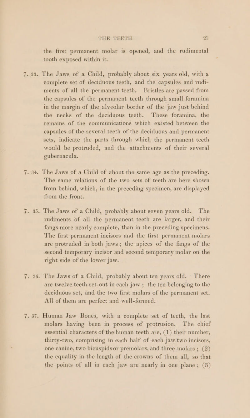 the first permanent molar is opened, and the rudimental tooth exposed within it. 7. 33. The Jaws of a Child, probably about six years old, with a complete set of deciduous teeth, and the capsules and rudi- ments of all the permanent teeth. Bristles are passed from the capsules of the permanent teeth through small foramina in the margin of the alveolar border of the jaw just behind the necks of the deciduous teeth. ‘These foramina, the remains of the communications which existed between the capsules of the several teeth of the deciduous and permanent sets, indicate the parts through which the permanent teeth would be protruded, and the attachments of their several gubernacula. 7. 34. The Jaws of a Child of about the same age as the preceding. The same relations of the two sets of teeth are here shown from behind, which, in the preceding specimen, are displayed from the front. 7. 35. The Jaws of a Child, probably about seven years old. The rudiments of all the permanent teeth are larger, and their fangs more nearly complete, than in the preceding specimens. The first permanent incisors and the first permanent molars are protruded in both jaws; the apices of the fangs of the second temporary incisor and second temporary molar on the right side of the lower jaw. 7. 36. The Jaws of a Child, probably about ten years old. There are twelve teeth set-out in each jaw ; the ten belonging to the deciduous set, and the two first molars of the permanent set. All of them are perfect and well-formed. 7. 37. Human Jaw Bones, with a complete set of teeth, the last molars having been in process of protrusion. The chief essential characters of the human teeth are, (1) their number, thirty-two, comprising in each half of each jaw two incisors, one canine, two bicuspidsor premolars, and three molars ; (2) the equality in the length of the crowns of them all, so that the points of all in each jaw are nearly in one plane; (3)