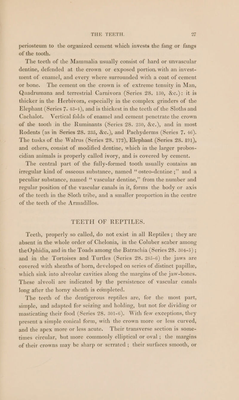 periosteum to the organized cement which invests the fang or fangs of the tooth. The teeth of the Mammalia usually consist of hard or unvascular dentine, defended at the crown or exposed portion, with an invest- ment of enamel, and every where surrounded with a coat of cement or bone. The cement on the crown is of extreme tenuity in Man, Quadrumana and terrestrial Carnivora (Series 28. 130, &amp;c.): it is thicker in the Herbivora, especially in the complex grinders of the Elephant (Series 7. 43-4), and is thickest in the teeth of the Sloths and Cachalot. Vertical folds of enamel and cement penetrate the crown of the tooth in the Ruminants (Series 28. 230, &amp;c.), and in most Rodents (as in Series 28. 235, &amp;c.), and Pachyderms (Series 7. 46). The tusks of the Walrus (Series 28. 172), Elephant (Series 28. 191), and others, consist of modified dentine, which in the larger probos- cidian animals is properly called ivory, and is covered by cement. The central part of the fully-formed tooth usually contains an irregular kind of osseous substance, named “ osteo-dentine ;” and a peculiar substance, named “ vascular dentine,” from the number and regular position of the vascular canals in it, forms the body or axis of the teeth in the Sloth tribe, and a smaller proportion in the centre of the teeth of the Armadillos. TEETH OF REPTILES. Teeth, properly so called, do not exist in all Reptiles ; they are absent in the whole order of Chelonia, in the Coluber scaber among the Ophidia, and in the Toads among the Batrachia (Series 28. 304-5) ; and in the Tortoises and Turtles (Series 28. 285-6) the jaws are covered with sheaths of horn, developed on series of distinct papille, which sink into alveolar cavities along the margins of the jaw-bones. These alveoli are indicated by the persistence of vascular canals long after the horny sheath is completed. The teeth of the dentigerous reptiles are, for the most part, simple, and adapted for seizing and holding, but not for dividing or masticating their food (Series 28. 301-6). With few exceptions, they present a simple conical form, with the crown more or less curved, and the apex more or less acute. Their transverse section is some- times circular, but more commonly elliptical or oval ; the margins of their crowns may be sharp or serrated ; their surfaces smooth, or