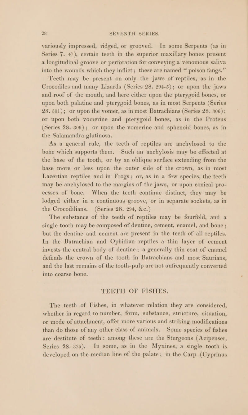 variously impressed, ridged, or grooved. In some Serpents (as in Series 7. 47), certain teeth in the superior maxillary bones present a longitudinal groove or perforation for conveying a venomous saliva into the wounds which they inflict ; these are named “ poison fangs.” Teeth may be present on only the jaws of reptiles, as in the Crocodiles and many Lizards (Series 28. 294-5); or upon the jaws and roof of the mouth, and here either upon the pterygoid bones, or upon both palatine and pterygoid bones, as in most Serpents (Series 28. 301); or upon the vomer, as in most Batrachians (Series 28. 306) ; or upon both vomerine and pterygoid bones, as in the Proteus (Series 28. 309); or upon the vomerine and sphenoid bones, as in the Salamandra glutinosa. As a general rule, the teeth of reptiles are anchylosed to the bone which supports them. Such an anchylosis may be effected at the base of the tooth, or by an oblique surface extending from the base more or less upon the outer side of the crown, as in most Lacertian reptiles and in Frogs; or, as in a few species, the teeth may be anchylosed to the margins of the jaws, or upon conical pro- cesses of bone. When the teeth continue distinct, they may be lodged either in a continuous groove, or in separate sockets, as in the Crocodilians. (Series 28. 294, &amp;c.) The substance of the teeth of reptiles may be fourfold, and a single tooth may be composed of dentine, cement, enamel, and bone ; but the dentine and cement are present in the teeth of all reptiles. In the Batrachian and Ophidian reptiles a thin layer of cement invests the central body of dentine ; a generally thin coat of enamel defends the crown of the tooth in Batrachians and most Saurians, and the last remains of the tooth-pulp are not unfrequently converted into coarse bone. TEETH OF FISHES. The teeth of Fishes, in whatever relation they are considered, whether in regard to number, form, substance, structure, situation, or mode of attachment, offer more various and striking modifications than do those of any other class of animals. Some species of fishes are destitute of teeth: among these are the Sturgeons (Acipenser, Series 28. 325). In some, as in the Myxines, a single tooth is developed on the median line of the palate; in the Carp (Cyprinus