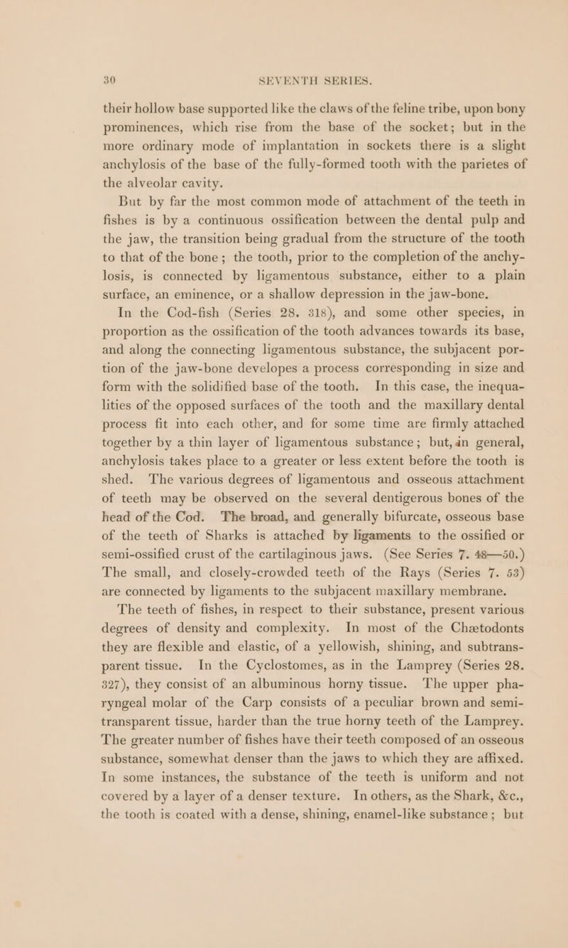 their hollow base supported like the claws of the feline tribe, upon bony prominences, which rise from the base of the socket; but in the more ordinary mode of implantation in sockets there is a slight anchylosis of the base of the fully-formed tooth with the parietes of the alveolar cavity. But by far the most common mode of attachment of the teeth in fishes is by a continuous ossification between the dental pulp and the jaw, the transition being gradual from the structure of the tooth to that of the bone; the tooth, prior to the completion of the anchy- losis, is connected by ligamentous substance, either to a plain surface, an eminence, or a shallow depression in the jaw-bone. In the Cod-fish (Series 28. 318), and some other species, in proportion as the ossification of the tooth advances towards its base, and along the connecting ligamentous substance, the subjacent por- tion of the jaw-bone developes a process corresponding in size and form with the solidified base of the tooth. In this case, the inequa- lities of the opposed surfaces of the tooth and the maxillary dental process fit into each other, and for some time are firmly attached together by a thin layer of ligamentous substance; but,dn general, anchylosis takes place to a greater or less extent before the tooth is shed. The various degrees of ligamentous and osseous attachment of teeth may be observed on the several dentigerous bones of the head of the Cod. The broad, and generally bifurcate, osseous base of the teeth of Sharks is attached by ligaments to the ossified or semi-ossified crust of the cartilaginous jaws. (See Series 7. 48—50.) The small, and closely-crowded teeth of the Rays (Series 7. 53) are connected by ligaments to the subjacent maxillary membrane. The teeth of fishes, in respect to their substance, present various degrees of density and complexity. In most of the Chaetodonts they are flexible and elastic, of a yellowish, shining, and subtrans- parent tissue. In the Cyclostomes, as in the Lamprey (Series 28. 327), they consist of an albuminous horny tissue. ‘The upper pha- ryngeal molar of the Carp consists of a peculiar brown and semi- transparent tissue, harder than the true horny teeth of the Lamprey. The greater number of fishes have their teeth composed of an osseous substance, somewhat denser than the jaws to which they are affixed. In some instances, the substance of the teeth is uniform and not covered by a layer of a denser texture. In others, as the Shark, &amp;c., the tooth is coated with a dense, shining, enamel-like substance ;_ but