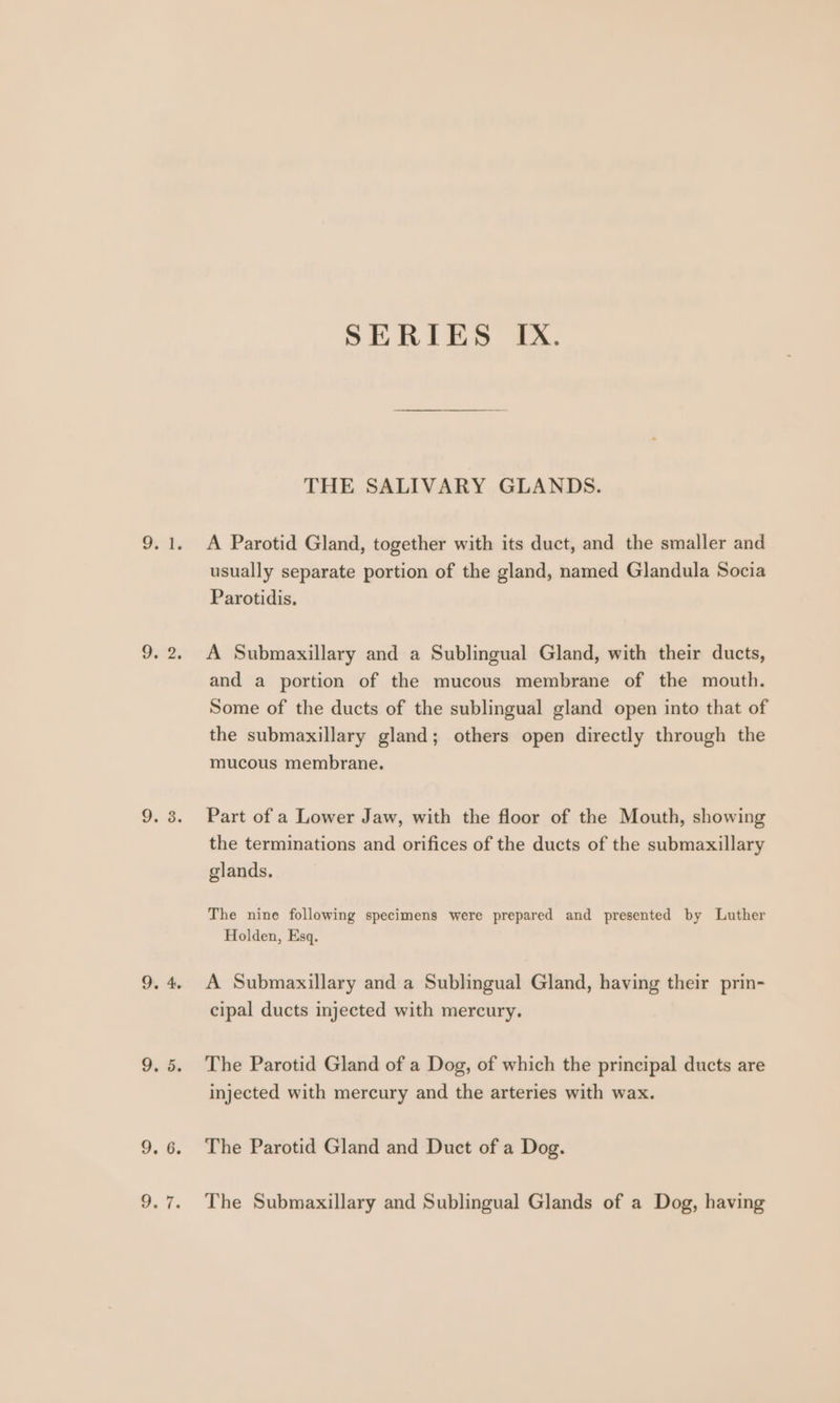 THE SALIVARY GLANDS. A Parotid Gland, together with its duct, and the smaller and usually separate portion of the gland, named Glandula Socia Parotidis. A Submaxillary and a Sublingual Gland, with their ducts, and a portion of the mucous membrane of the mouth. Some of the ducts of the sublingual gland open into that of the submaxillary gland; others open directly through the mucous membrane. Part of a Lower Jaw, with the floor of the Mouth, showing the terminations and orifices of the ducts of the submaxillary glands. The nine following specimens were prepared and presented by Luther Holden, Esq. A Submaxillary and a Sublingual Gland, having their prin- cipal ducts injected with mercury. The Parotid Gland of a Dog, of which the principal ducts are injected with mercury and the arteries with wax. The Parotid Gland and Duct of a Dog. The Submaxillary and Sublingual Glands of a Dog, having