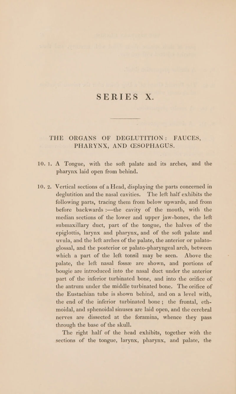 THE ORGANS OF DEGLUTITION: FAUCES, PHARYNX, AND CG&amp;SOPHAGUS. 10.1. A Tongue, with the soft palate and its arches, and the pharynx laid open from behind. 10, 2. Vertical sections of a Head, displaying the parts concerned in deglutition and the nasal cavities. The left half exhibits the following parts, tracing them from below upwards, and from before backwards :—the cavity of the mouth, with the median sections of the lower and upper jaw-bones, the left submaxillary duct, part of the tongue, the halves of the epiglottis, larynx and pharynx, and of the soft palate and uvula, and the left arches of the palate, the anterior or palato- glossal, and the posterior or palato-pharyngeal arch, between which a part of the left tonsil may be seen. Above the palate, the left nasal fossee are shown, and portions of bougie are introduced into the nasal duct under the anterior part of the inferior turbinated bone, and into the orifice of the antrum under the middle turbinated bone. The orifice of the Eustachian tube is shown behind, and on a level with, the end of the inferior turbinated bone; the frontal, eth- moidal, and sphenoidal sinuses are laid open, and the cerebral nerves are dissected at the foramina, whence they pass through the base of the skull. The right half of the head exhibits, together with the sections of the tongue, larynx, pharynx, and palate, the