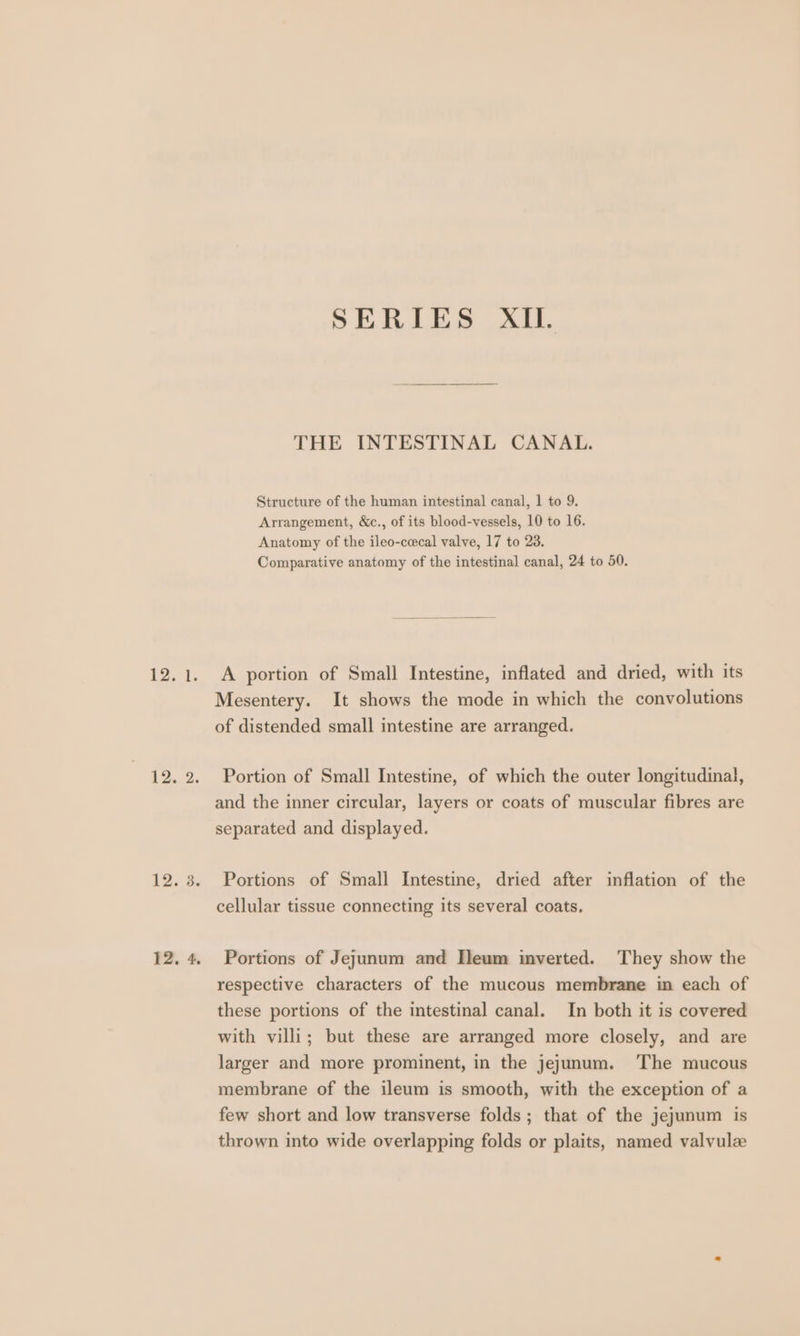 12, A: Lo. 12. 3. 12, 4. SERIES XII. THE INTESTINAL CANAL. Structure of the human intestinal canal, 1 to 9. Arrangement, &amp;c., of its blood-vessels, 10 to 16. Anatomy of the ileo-cecal valve, 17 to 23. Comparative anatomy of the intestinal canal, 24 to 50. A portion of Small Intestine, inflated and dried, with its Mesentery. It shows the mode in which the convolutions of distended small intestine are arranged. Portion of Small Intestine, of which the outer longitudinal, and the inner circular, layers or coats of muscular fibres are separated and displayed. Portions of Small Intestine, dried after inflation of the cellular tissue connecting its several coats. Portions of Jejunum and Tleum imverted. They show the respective characters of the mucous membrane in each of these portions of the intestinal canal. In both it is covered with villi; but these are arranged more closely, and are larger and more prominent, in the jejunum. ‘The mucous membrane of the ileum is smooth, with the exception of a few short and low transverse folds; that of the jejunum is thrown into wide overlapping folds or plaits, named valvule