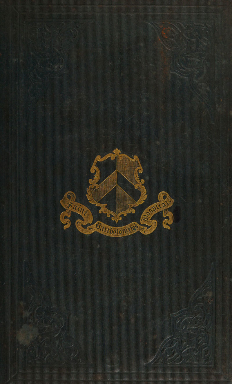 ‘ * ‘ ‘ ‘ . \ \ . i ra p- # / (7 wat V4 / 7 , ; a . f P : j hie ay / } a Tas “5 a: - | en M } 5 ‘S7> . Aeed ca eon, . as 4 ‘ ; biethheiheaal byiit : il Pe ttetititity x : «*s . . \ i ad e © ee a fice tiiaitat HE HH AL Ht ui ii i Teietids a { TLR sig fits : ‘ 7 } seat NATE areca, PUYTITV STV Tos fee eater es rey cere verry ey yy : M : : PTGS) Pit i : eeena , es Tt| 43 tee Tether trerets. S*ealie acs é chy ; bait ’ it Ts okle STEN Ri biched del ielzecetdswi sending esas He Ube | P Bel oan : a : ws i ‘ é , \ ¢ ' am oe wh > * Shy . >| i yr Bi aig ve ‘ pe “« , Mili i aE HT eieies iii pieethh verre Lidtiti 1 TRETTT iis 8 vr Veer r] be bl Ai if re at ia ites we aaa pale TE eo epeerere rt © th he { Hae i shaded dia sebitdaid i iti