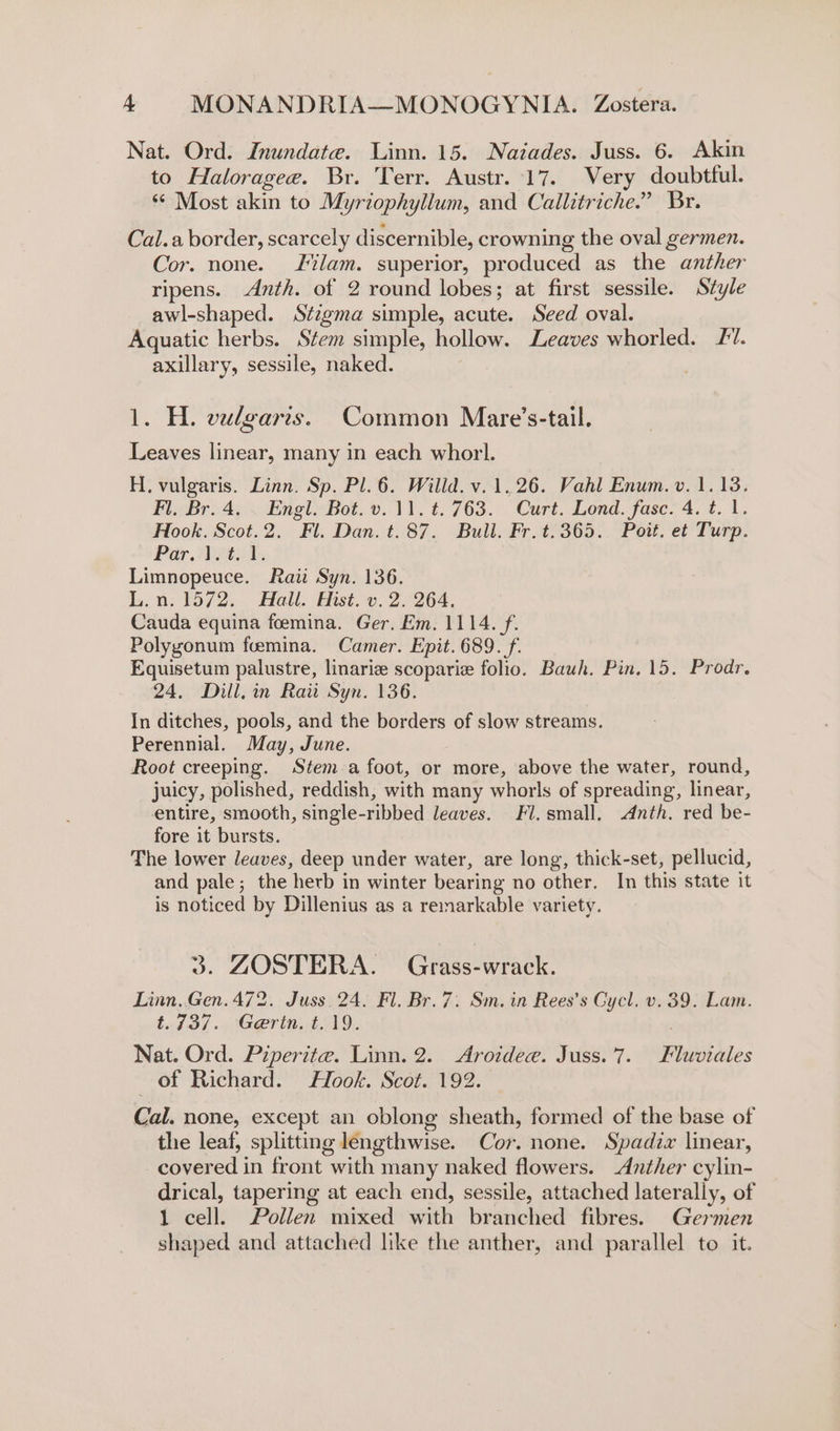 Nat. Ord. Inundate. Linn. 15. Naiades. Juss. 6. Akin to Haloragee. Br. Terr. Austr. 17. Very doubtful. “© Most akin to Myriophyllum, and Callitriche.” Br. Cal.a border, scarcely discernible, crowning the oval germen. Cor. none. lam. superior, produced as the anther ripens. Anth. of 2 round lobes; at first sessile. Style awl-shaped. Stzgma simple, acute. Seed oval. Aquatic herbs. Stem simple, hollow. Leaves whorled. 47. axillary, sessile, naked. 1. H. vulgaris. Common Mare’s-tail. Leaves linear, many in each whorl. H, vulgaris. Linn. Sp. Pl. 6. Willd. v.1.26. Vahl Enum. v. 1.13. FlBr. 4, . Engl Bot. ». 11. ¢. 763. Curt. Lond. fasc. 4. t. L. Hook. Scot.2. Fl. Dan. t.87. Bull. Fr.t.365. Pott. et Turp. Par. 2241. Limnopeuce. Raii Syn. 136. L.n; 1572, Hall. Hist». 2.264. Cauda equina foemina. Ger. Em. 1114. f. Polygonum foemina. Camer. Epit. 689. f. Equisetum palustre, linariz scoparic folio. Bauh. Pin. 15. Prodr. 24, Dill. in Raii Syn. 136. In ditches, pools, and the borders of slow streams. Perennial. May, June. Root creeping. Stem afoot, or more, above the water, round, juicy, polished, reddish, with many whorls of spreading, linear, entire, smooth, single- ribbed leaves. Fl. small, Anth. red be- fore it bursts. The lower leaves, deep under water, are long, thick-set, pellucid, and pale; the herb in winter bearing no other. In this state it is noticed by Dillenius as a remarkable variety. 3. GOSTERA. Grass-wrack. Linn..Gen. 472. Juss. 24. Fl. Br. 7. Sm. in Rees’s Cycl. v. 39. Lam. t.43/., Gerth. t.19. Nat. Ord. Piperite. Linn. 2. Aroidee. Juss. 7. Phibibles of Richard. Hook. Scot. 192. Cal. none, except an oblong sheath, formed of the base of the leaf, splitting lengthwise. Cor. none. Spadix linear, covered in front with many naked flowers. -Anther cylin- drical, tapering at each end, sessile, attached laterally, of 1 cell. Pollen mixed sls branched fibres. Germen shaped and attached like the anther, and parallel to it.