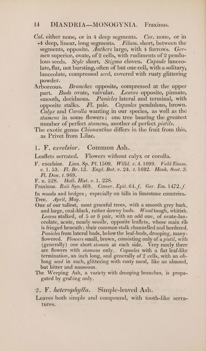 Cal. either none, or in 4 deep segments. Cor. none, or in +4: deep, linear, long segments. ” Filam. short, between the segments, opposite. Anthers large, with 4 furrows. Ger- men superior, ovate, of 2 cells, with rudiments of 2 pendu- lous seeds. Style short. Stigma cloven. Capsule lanceo- late, flat, not bursting, often of but one cell, with a solitary, lanceolate, compressed seed, covered with rusty glittering powder. Arboreous. Branches opposite, compressed at the upper part. Buds ovate, valvular. Leaves opposite, pinnate, smooth, deciduous. Panicles lateral and terminal, with opposite stalks. £7. pale. Capsules pendulous, brown. Calyx and Corolla wanting in our species, as well as the stamens in some flowers; one tree bearing the greatest number of perfect stamens, another of perfect pzstz/s. The exotic genus Chionanthus differs in the fruit from this, as Privet from Lilac. 1. F. excelsior. Common Ash. Leaflets serrated. Flowers without calyx or corolla. F, excelsior. Linn. Sp. Pl. 1509. Willd. v.4.1099. Vahl Enum. v. 1.53. Fl. Br. 13. Engl. Bot. v. 24. t.1692. Hook. Scot. 3. Fl. Dan. t. 969. : F. n. 528. Hall. Hist. v. 1. 228. Fraxinus. Raii Syn.469. Camer. Epit.64. f. Ger. Em. 1472. f. In woods and hedges; especially on hills in limestone countries. Tree. April, May. One of our tallest, most graceful trees, with a smooth grey bark, and large, coal-black, rather downy buds. Wood tough, whitish. Leaves stalked, of 5 or 6 pair, with an odd one, of ovate-lan- ceolate, acute, nearly sessile, opposite leaflets, whose main rib is fringed beneath; their common stalk channelled and bordered. Panicles from later al buds, below the leaf-buds, drooping, many- flowered. Flowers small, brown, consisting only of a pistil, with (generally) one short séamen at each side. Very rarely there are flowers with stamens only. Capsules with a flat leaf-like termination, an inch long, and generally of 2 cells, with an ob- — long seed in each, glittering with rusty meal, like an almond, but bitter and nauseous. The Weeping Ash, a variety with drooping branches, is propa- gated by grafting only. 2. F. heterophylla. Simple-leaved Ash. Leaves both simple and compound, with tooth-like serra- tures.