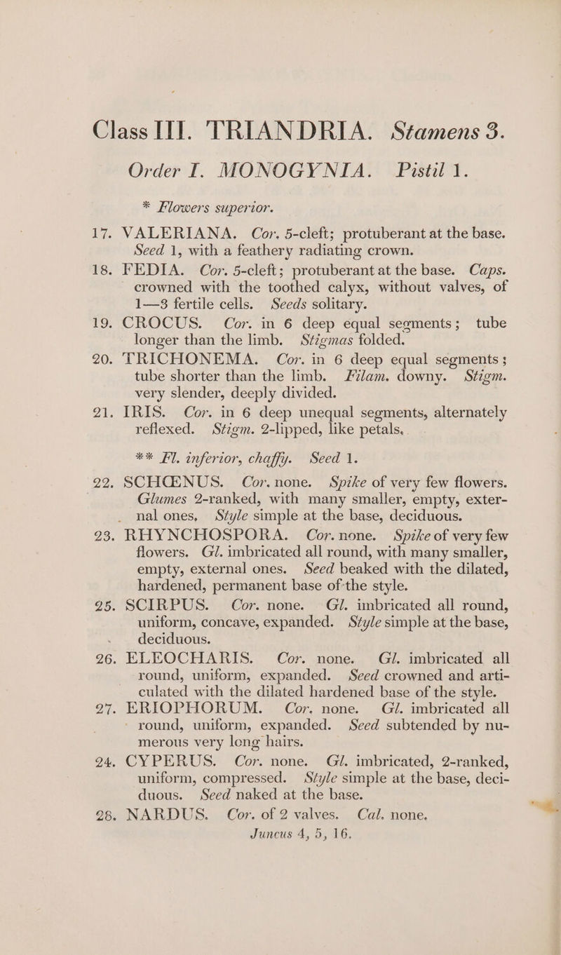 * Flowers superior. VALERIANA. Cor. 5-cleft; protuberant at the base. Seed 1, with a feathery radiating crown. FEDIA. Cor. 5-cleft; protuberant at the base. Caps. crowned with the toothed calyx, without valves, of 1—3 fertile cells. Seeds solitary. CROCUS. Cor. in 6 deep equal segments; tube longer than the limb. Stzgmas folded. TRICHONEMA. Cor. in 6 deep equal segments ; tube shorter than the limb. lam. downy. Stigm. very slender, deeply divided. IRIS. Cor. in 6 deep unequal segments, alternately reflexed. Stzgm. 2-lipped, like petals. *% Fl. inferior, chaffy. Seed 1. SCHCENUS. Cor.none. Spzke of very few flowers. Glumes 2-ranked, with many smaller, empty, exter- nal ones, Style simple at the base, deciduous. RHYNCHOSPORA. Cor.none. Spike of very few flowers. Gl. imbricated all round, with many smaller, empty, external ones. Seed beaked with the dilated, hardened, permanent base of-the style. SCIRPUS. Cor. none. Gi. imbricated all round, uniform, concave, expanded. Style simple at the base, deciduous. ELEOCHARIS. Cor. none. Gl. imbricated all round, uniform, expanded. Seed crowned and arti- culated with the dilated hardened base of the style. ERIOPHORUM. Cor. none. Gl. imbricated all - round, uniform, expanded. Seed subtended by nu- merous very long hairs. CYPERUS. Cor. none. Gi. imbricated, 2-ranked, uniform, compressed. Szyle simple at the base, deci- duous. Seed naked at the base. NARDUS. Cor. of 2 valves. Cal. none. Juncus 4, 5, 16.