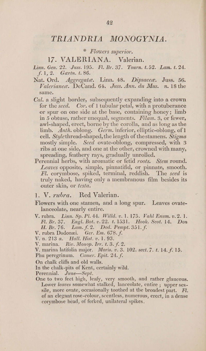 AQ TRIANDRIA MONOGYNIA. * Flowers superior. 17. VALERIANA. Valerian. Linn. Gen. 22. -Juss. 195. Fl. Br. 37. Tourn. t.52. Lam. t. 24. yf. 1,2.) Gerin.t.86. Nat. Ord. Aggregate. Linn. 48. Dipsacee. Juss. 56. Valerianee. DeCand. 64. Juss. Ann. du Mus. n. 18 the same. 3 Cal. a slight border, subsequently expanding into a crown for the seed. Cor. of 1 tubular petal, with a protuberance or spur on one side at the base, containing honey; limb in 5 obtuse, rather unequal, segments. Flam. 3, or fewer, awl-shaped, erect, borne by the corolla, and as long as the limb. Anth. oblong. Germ. inferior, elliptic-oblong, of 1 cell. Stylethread-shaped, the length of thestamens. Stzgma mostly simple. Seed ovate-oblong, compressed, with 3 ribs at one side, and one at the other, crowned with many, spreading, feathery rays, gradually unrolled. Perennial herbs, with aromatic or fetid roots. Stem round. Leaves opposite, simple, pinnatifid, or pinnate, smooth. Fil. corymbose, spiked, terminal, reddish. ‘The seed is truly naked, having only a membranous film besides its outer skin, or festa. 1. V. vuhra. Red Valerian. Flowers with one stamen, and a long spur. Leaves ovate- lanceolate, nearly entire. ; V. rubra. Linn. Sp. Pl. 44. Willd. v. 1.175. Vahl Enum. v.2. 1. Fl. Br. 37... Engl. Bot. v.22. t.1531. Hook. Scot. 14. Don HBr. 76. Lam. f-2. Dod. Pempt. 351. f. V. rubra Dodonei. Ger. Em. 678. f. Vin 213 a. Hall. dist. 0. POS: V. marina. Riv. Monop. Irr. t.3. f. 2. Phu peregrinum. Camer. Epit. 24. f. On chalk cliffs and old walls. In the chalk-pits of Kent, certainly wild. Perennial. June—Sept. ~ One to two feet high, leafy, very smooth, and rather glaucous. Lower leaves somewhat stalked, lanceolate, entire ; upper ses- sile, more ovate, occasionally toothed at the broadest part. Fi. of an elegant rose-colour, scentless, numerous, erect, in a dense corymbose head, of forked, unilateral spikes. 1 ulheowes