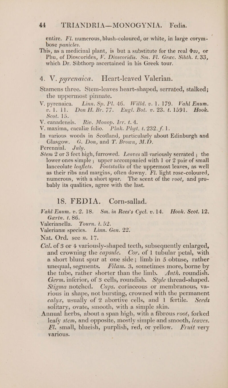 entire. Fl. numerous, blush-coloured, or white, in large corym- bose panicles. This, as a medicinal plant, is but a substitute for the real Pov, or Phu, of Dioscorides, V. Dioscoridis. Sm. Fl. Grec. Sibth. t.33, which Dr. Sibthorp ascertained in his Greek tour. 4. V. pyrenaica. Heart-leaved Valerian. Stamens three. Stem-leaves heart-shaped, serrated, stalked; the uppermost pinnate. V. pyrenaica. Linn. Sp. Pl. 46. Willd. v. 1.179. Vahl Enum. ol. i. “Don HBr. 77... Engl. Bot. 0. 23,4. 1591, aAdook. Scot. lo: V. canadensis. Riv. Monop. Irr. t. 4. V. maxima, cacaliz folio. Pluk. Phyt. t. 232. f.1. In various woods in Scotland, particularly about Edinburgh and Glasgow. G. Don, and T. Brown, M.D. Perennial. July. Stem 2 or 3 feet high, furrowed. Leaves all- variously serrated ; the lower ones simple ; upper accompanied with | or 2 puair of small lanceolate leaflets. Fooistalks of the uppermost leaves, as well as their ribs and margins, often downy. Fl. light rose-coloured, numerous, with a short spur. The scent of the root, and pro- bably its qualities, agree with the last. 18. FEDIA. Corn-sallad.. Vahl Enum. v. 2.18. Sm. in Rees’s Cycl. v.14. Hook. Scot. 12. Gerin. t. 86. Valerianella.. Tourn. t. 52. Valeriane species. Linn. Gen. 22, Nat. Ord. see n. 17. Cal. of 3 or 4 variously-shaped teeth, subsequently enlarged, and crowning the capsule. Cor. a 1 tubular petal, with a short blunt spur at one side; limb in 5 obtuse, rather unequal, segments. Lvdam. 3, sometimes more, borne by the tube, rather shorter than the limb. Anth. roundish. Germ. interior, of 3 cells, roundish. Style thread-shaped. Stigma notched. Caps. coriaceous or membranous, va- rious in shape, not bursting, crowned with the permanent calyx, usually of 2 abortive cells, and 1 fertile. Seeds solitary, ovate, smooth, with a simple skin. Annual herbs, about a span high, with a fibrous root, forked leafy stem, and opposite, mostly simple and smooth, leaves. Fl. small, blueish, purplish, red, or yellow. Frutt very various.