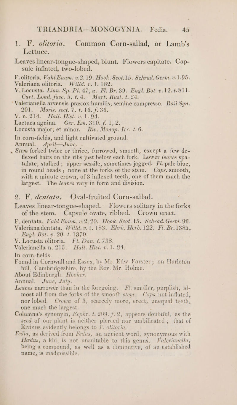 1. F. olttortia. Common Corn-sallad, or Lamb’s Lettuce. Leaves linear-tongue-shaped, blunt. Flowers capitate. Cap- sule inflated, two-lobed. F. olitoria. Vahl Enum. v.2.19. Hook. Scot.15. Schrad. Germ. 0.1.95. Valeriana olitoria. Willd. v. 1.182. V. Locusta. Linn. Sp. Pl. 47, a. Fl. Br.39. Engl. Bot. v.12. t.811. Curt. Lond. fase. 5. t.4.. Mart. Rust. t.. 24. ‘ Valerianella arvensis preecox humilis, semine compresso. Raii Syn. aUb. : Mors.’ sect. 7, t. 16&lt;f. 36. V.n.214. Hall. Hist. v. 1. 94. Lactuca agnina. Ger. Em. 310. f. 1, 2. Locusta major; et minor. Riv. Monop. Irr. t. 6. In corn-fields, and light cultivated ground. Annual. April—June. . Stem forked twice or thrice, furrowed, smooth, except a few de- flexed hairs on the ribs just below each fork. Lower leaves spa- tulate, stalked ; upper sessile, sometimes jagged. Fl. pale blue, in round heads ; none at the forks of the stem. Caps. smooth, with a minute crown, of 3 inflexed teeth, one of them much the largest. The leaves vary in form and division. 2. F. dentata. Oval-fruited Corn-sallad. f Leaves linear-tongue-shaped. Flowers solitary in the forks of the stem. Capsule ovate, ribbed. Crown erect. F.dentata. Vahl Enum. v.2.20. Hook. Scot. 15. Schrad.Germ. 96. Valerianadentata. Willd. v.1.183. Ehrh. Herb. 122. Fl. Br.1385. Engi. Bot. v. 20. t. 1370. V. Locusta olitoria. Fl. Dan. t. 738. Valerianella n. 215. Hall. Hist. v. 1. 94. In corn-fields. Found in Cornwall and Essex, by Mr. Edw. Forster; on Harleton hill, Cambridgeshire, by the Rev. Mr. Holme. About Edinburgh. Hooker. Annual. June, July. | Leaves narrower than in the foregoing. Fl. smoller,.purplish, al- most all from the forks of the smooth stem. Cups. not inflated, nor lobed. Crown of 3, scarcely more, erect, unequal teeth, one much the largest. Columna’s synonym, Ecphr. t. 209. f. 2, appears doubtful, as the seed of our plant is neither pierced ner umbilicated ; that of Rivinus evidently belongs to F. olitoria. Fedia, as derived from Fedus, an ancient word, synonymous with Hedus, a kid, is not unsuitable to this genus. Valerianeila, being a compound, as well as a diminutive, of an established name, is inadmissible.