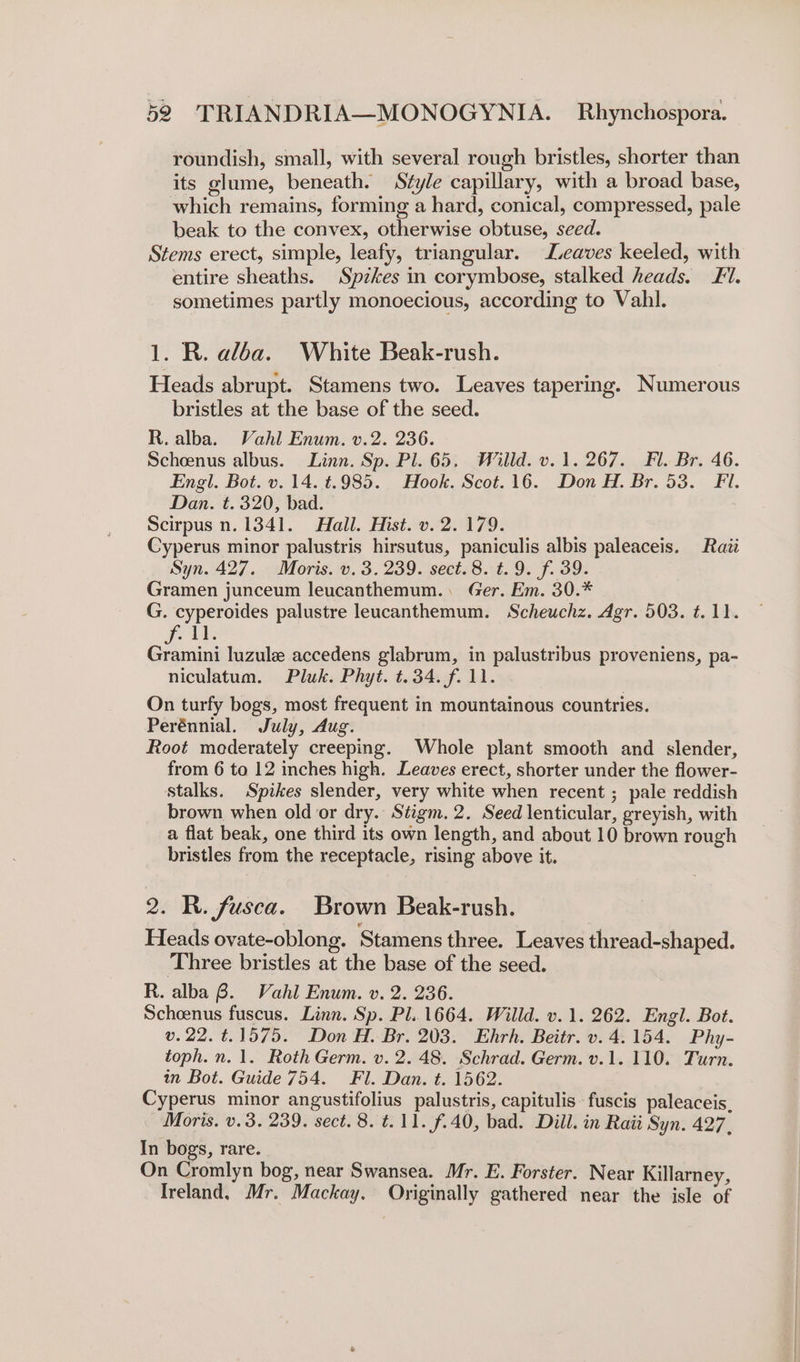 roundish, small, with several rough bristles, shorter than its glume, beneath. Style capillary, with a broad base, which remains, forming a hard, conical, compressed, pale beak to the convex, otherwise obtuse, seed. Stems erect, simple, leafy, triangular. Leaves keeled, with entire sheaths. Spzkes in corymbose, stalked heads. F/. sometimes partly monoecious, according to Vahl. 1. R. alla. White Beak-rush. Heads abrupt. Stamens two. Leaves tapering. Numerous bristles at the base of the seed. R. alba. Vahl Enum. v.2. 236. Scheenus albus. Linn. Sp. Pl. 65, Willd. v.1. 267. Fl. Br. 46. Engl. Bot. v. 14. =.985. Hook. Scot.16. Don H. Br. 53. Fil. Dan. t. 320, bad. Scirpus n. 1341. Hall. Hist. v. 2. 179. Cyperus minor palustris hirsutus, paniculis albis paleaceis. Raii Syn. 427. Moris. v. 3.239. sect. 8. t.9. f. 39. Gramen junceum leucanthemum.. Ger. Em. 30.* G. cyperoides palustre leucanthemum. Scheuchz. Agr. 503. t. 11. 1] Gramini luzule accedens glabrum, in palustribus proveniens, pa- niculatum. Pluk. Phyt. t.34. f. 11. On turfy bogs, most frequent in mountainous countries. Perénnial. July, Aug. Root mederately creeping. Whole plant smooth and slender, from 6 to 12 inches high. Leaves erect, shorter under the flower- stalks. Spikes slender, very white when recent ; pale reddish brown when old or dry. Stigm. 2. Seed lenticular, greyish, with a flat beak, one third its own length, and about 10 brown rough bristles from the receptacle, rising above it. 2. KR. fusca. Brown Beak-rush. Heads ovate-oblong. Stamens three. Leaves thread-shaped. ‘Three bristles at the base of the seed. R. alba 6. Vahl Enum. v. 2. 236. Schoenus fuscus. Linn. Sp. Pl. 1664. Willd. v.1. 262. Engl. Bot. v.22. ¢.1575. Don H. Br. 203. Ehrh. Beitr. v. 4.154. Phy- toph. n. 1. Roth Germ. v. 2. 48. Schrad. Germ. v.1. 110. Turn. in Bot. Guide 754. Fl. Dan. t. 1562. Cyperus minor angustifolius palustris, capitulis fuscis paleaceis, Moris. v.3. 239. sect. 8. t.11. f.40, bad. Dill. in Rati Syn. 427. In bogs, rare. On Cromlyn bog, near Swansea. Mr. E. Forster. Near Killarney, Ireland. Mr. Mackay. Originally gathered near the isle of
