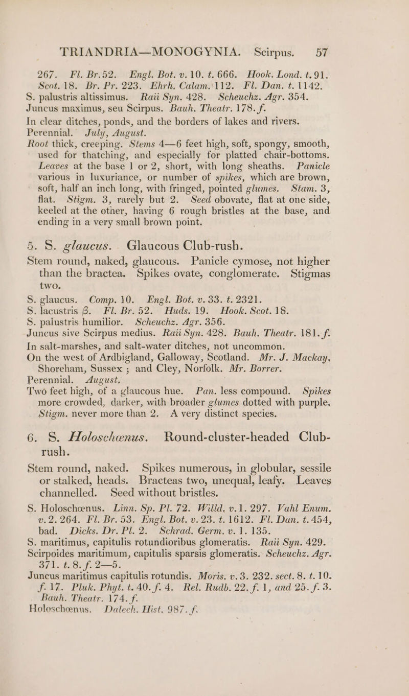 267. Fl. Br.b2. Engl. Bot. v.10. t. 666. Hook. Lond. t.91. Scot. 18. Br. Pr. 223. Ehrh. Calam.112. Fl. Dan. t. 1142. S. palustris altissimus. Raii Syn. 428. Scheuchz. Agr. 354. Juncus maximus, seu Scirpus. Bauh. Theatr. 178. f. In clear ditches, ponds, and the borders of lakes and rivers. Perennial. July, August. Root thick, creeping. Stems 4—6 feet high, soft, spongy, smooth, used for thatching, and especially for platted chair-bottoms. Leaves at the base 1 or 2, short, with long sheaths. Panicle various in luxuriance, or number of spikes, which are brown, soft, half an inch long, with fringed, pointed glumes. Stam. 3, flat. Stigm. 3, rarely but 2. Seed obovate, flat at one side, keeled at the otner, having 6 rough bristles at the base, and ending in a very small brown point. 5. 8. glaucus. Glaucous Club-rush. Stem round, naked, glaucous. Panicle cymose, not higher than the bractea. Spikes ovate, conglomerate. Stigmas two. S. glaucus. Comp.10. Engl. Bot. v. 33. t. 2321. S. lacustris 8. Fl. Br.52. Huds. 19. Hook. Scot. 18. S. palustris humilior. Scheuchz. Agr. 356. Juncus sive Scirpus medius. Raw Syn. 428. Bauh. Theatr. 181.-f. In salt-marshes, and salt-water ditches, not uncommon. On the west of Ardbigland, Galloway, Scotland. Mr. J. Mackay, Shoreham, Sussex ; and Cley, Norfolk. Mr. Borrer. Perennial. August. : i Two feet high, of a glaucous hue. Pan. less compound. Spikes more crowded, darker, with broader glumes dotted with purple. Stigm. never more than 2. A very distinct species. 6. S. Holoschenus. FRound-cluster-headed Club- rush. Stem round, naked. Spikes numerous, in globular, sessile or stalked, heads. Bracteas two, unequal, leafy. Leaves channelled. Seed without bristles. S. Holoschcenus. Linn. Sp. Pl. 72. Willd. v.1. 297. Vahl Enum. v.2. 264. Fl. Br. 53. Engl. Bot. v.23. t. 1612. Fl. Dan. t. 454, bad. Dicks. Dr. Pl. 2. Schrad. Germ. v. 1. 135. S. maritimus, capitulis rotundioribus glomeratis. Raii Syn. 429. Scirpoides maritimum, capitulis sparsis glomeratis. Scheuchz. Agr. 371. t. 8. f. 2—5. Juncus maritimus capitulis rotundis. Moris. v.3. 232. sect. 8. t. 10. f.17. Pluk. Phyt. t. 40. f. 4. Rel. Rudb. 22, f.1, and 25. f. 3. Bauh. Theatr. 174. f. Holoscheenus. Dalech. Hist. 987. f.