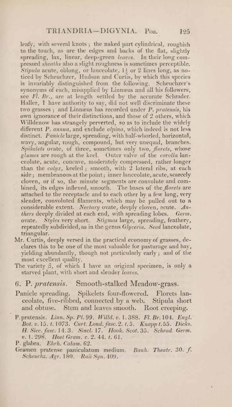 leafy, with several knots ; the naked part cylindrical, roughish to the touch, as are the edges and backs of the flat, slightly spreading, lax, linear, deep-green leaves. In their long com- pressed sheaths also a slight roughness is sometimes perceptible. Stipula acute, oblong, or lanceolate, 14 or 2 lines long, as no- ticed by Scheuchzer, Hudson and Curtis, by which this species is invariably distinguished from the following. Scheuchzer’s synonyms of each, misapplied by Linneeus and all his followers, see Fl. Br., are at length settled by the accurate Schrader. Haller, 1 have authority to say, did not well discriminate these two grasses ; and Linnzus has recorded under P. pratensis, his own ignorance of their distinctions, and those of 2 others, which Willdenow has strangely perverted, so as to include the widely different P. annua, and exclude alpina, which indeed is not less distinct. Panicle large, spreading, with half-whorled, horizontal, wavy, angular, rough, compound, but very unequal, branches. Spikelets ovate, of three, sometimes only two, florets, whose glumes are rough at the keel. Outer valve of the corolla lan- ceolate, acute, concave, moderately compressed, rather longer than the calyx, keeled ; smooth, with 2 lateral ribs, at each side; membranous at the point; inner lanceolate, acute, scarcely cloven, or if so, the minute segments are convolute and com- bined, its edges inflexed, smooth. The bases of the florets are attached to the receptacle and to each other by a few long, very slender, convoluted filaments, which may be pulled out to a considerable extent. Nectary ovate, deeply cloven, acute. An- thers deeply divided at each end, with spreading lobes. Germ. ovate. Styles very short. Stigmas large, spreading, feathery, repeatedly subdivided, as in the genus Glyceria. Seed lanceolate, triangular. Mr. Curtis, deeply versed in the practical economy of grasses, de- clares this to be one of the most valuable for pasturage and hay, yielding abundantly, though not particularly early ; and of the most excellent quality. The variety 6, of which I have an original specimen, is only a starved plant, with short and slender leaves. 6. P. pratensis. Smooth-stalked Meadow-grass. Panicle spreading. Spikelets four-flowered. Florets lan- ceolate, five-ribbed, connected by a web. Stipula short and obtuse. Stem and leaves smooth. Root creeping. P. pratensis. Linn. Sp. Pl. 99. Willd. v. 1.388. Fl. Br. 104. Engl. Bot. v.15. t.1073. Curt, Lond. fasc.2. t.5. Knapp t.55. Dicks. H. Sice. fase. 14.3. Sincl. 17. Hook. Scot. 35. Schrad. Germ. vw. 1.298. Host Gram. v. 2. 44. t. 61. P. glabra. Ehrh. Calam. 62. Gramen pratense paniculatum medium. Bauh. Theatr. 30. f- Scheuchz. Agr. 180. Raii Syn. 409.